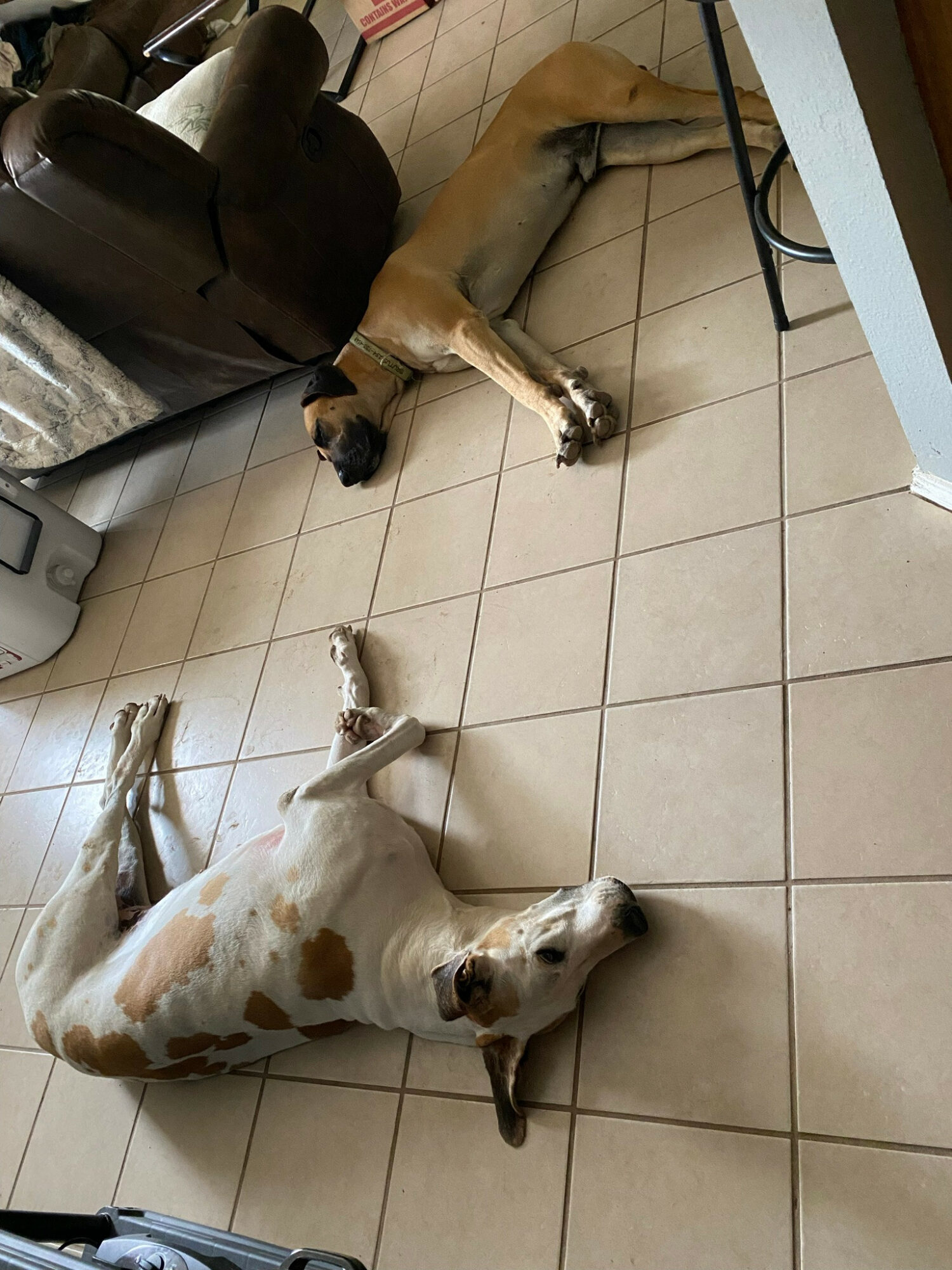 Meet Jerri Berry Voyage Dallas Magazine Dallas City Guide