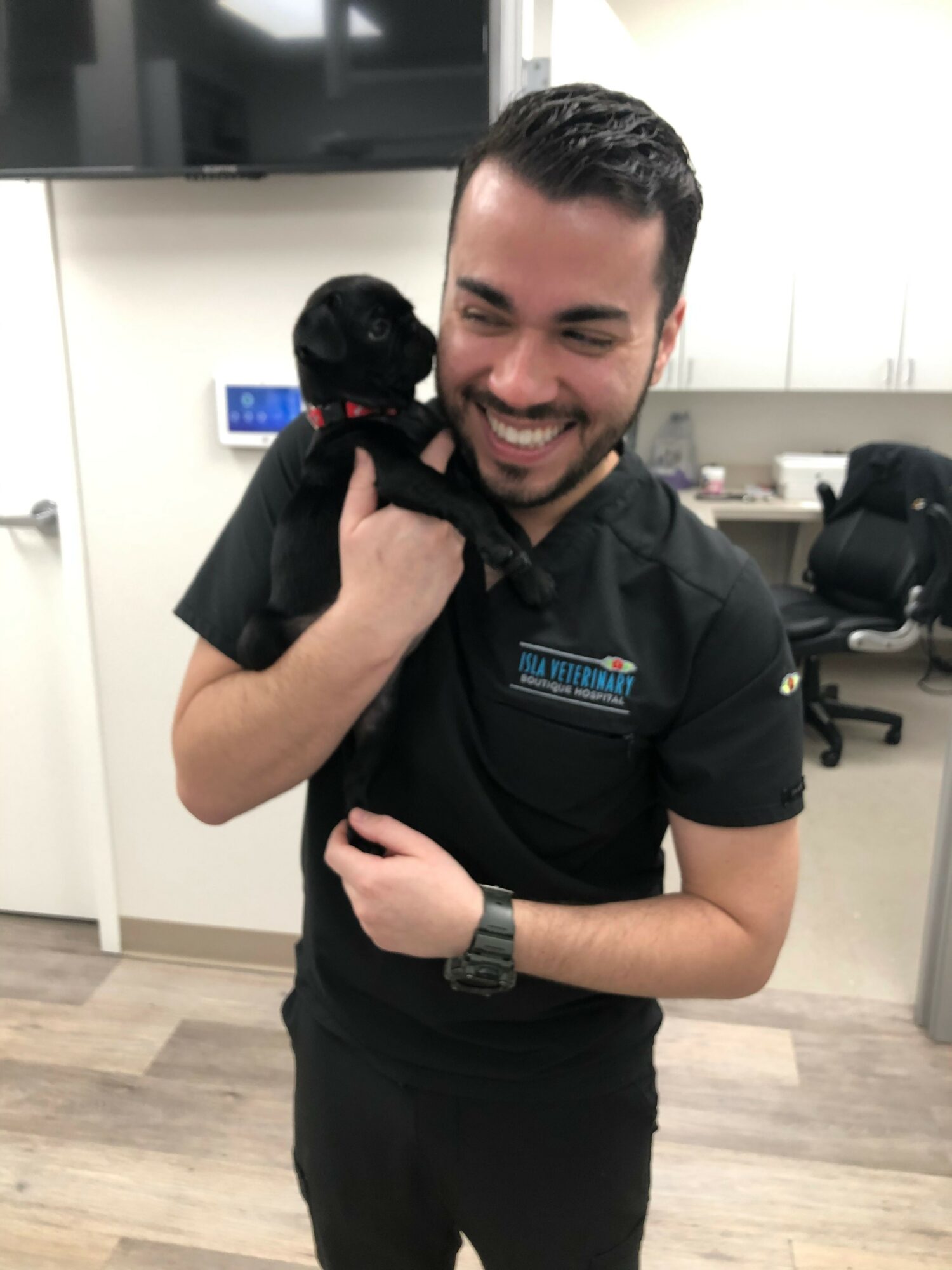 Meet Josh Sanabria of Isla Veterinary Boutique Hospital Voyage