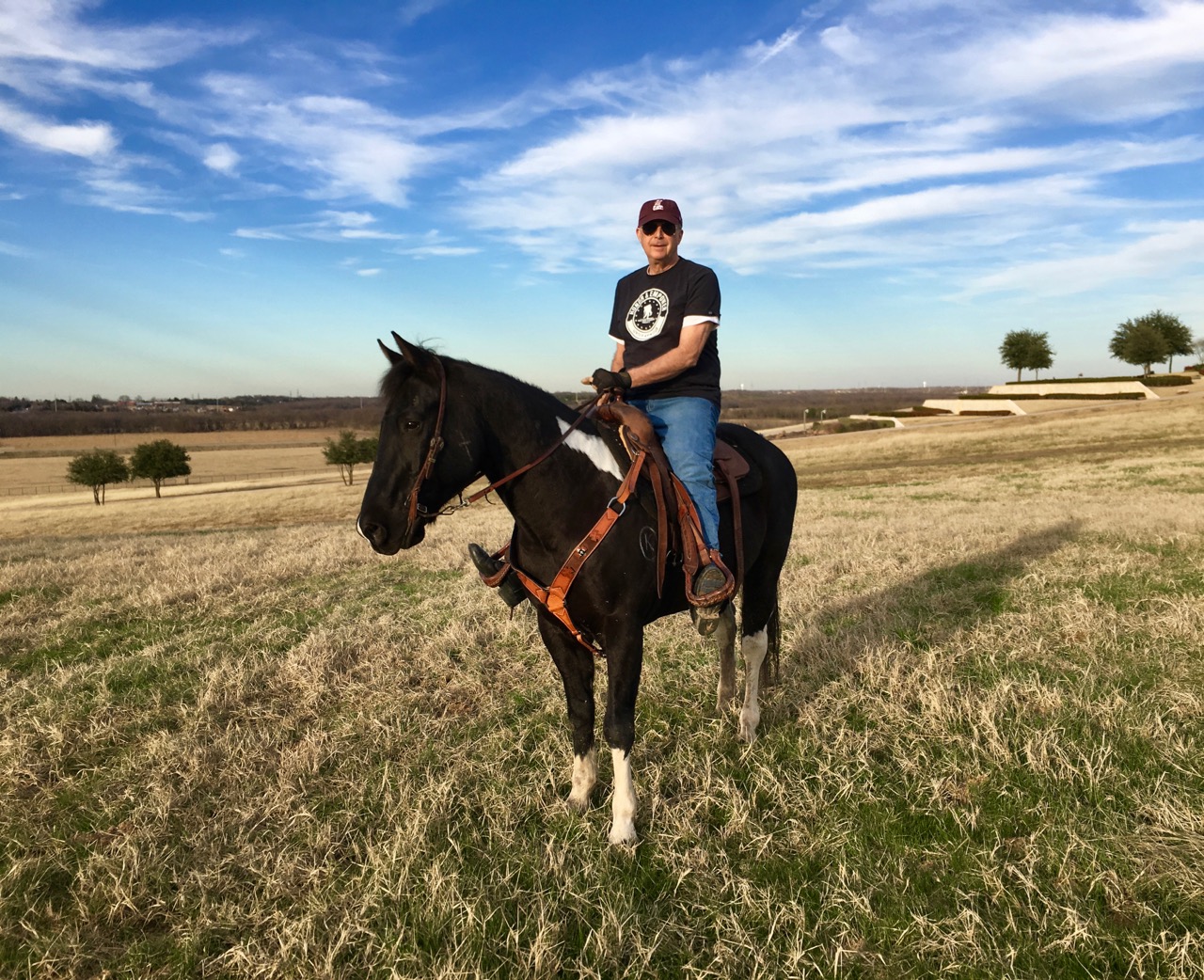 Person riding a black horse in an open field with trees and blue sky in background.