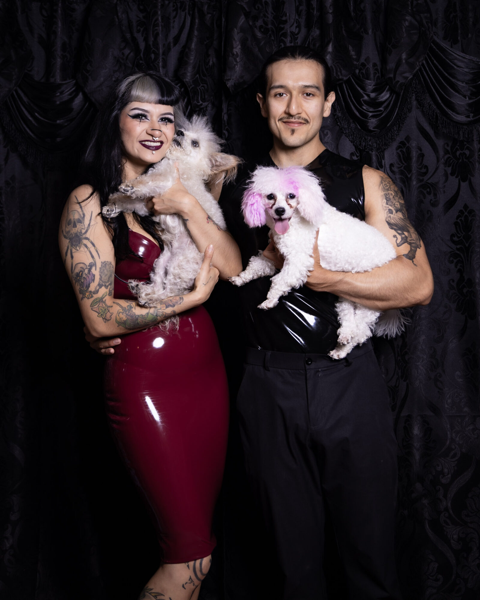 A man and woman hold small white dogs in front of a dark curtain backdrop.