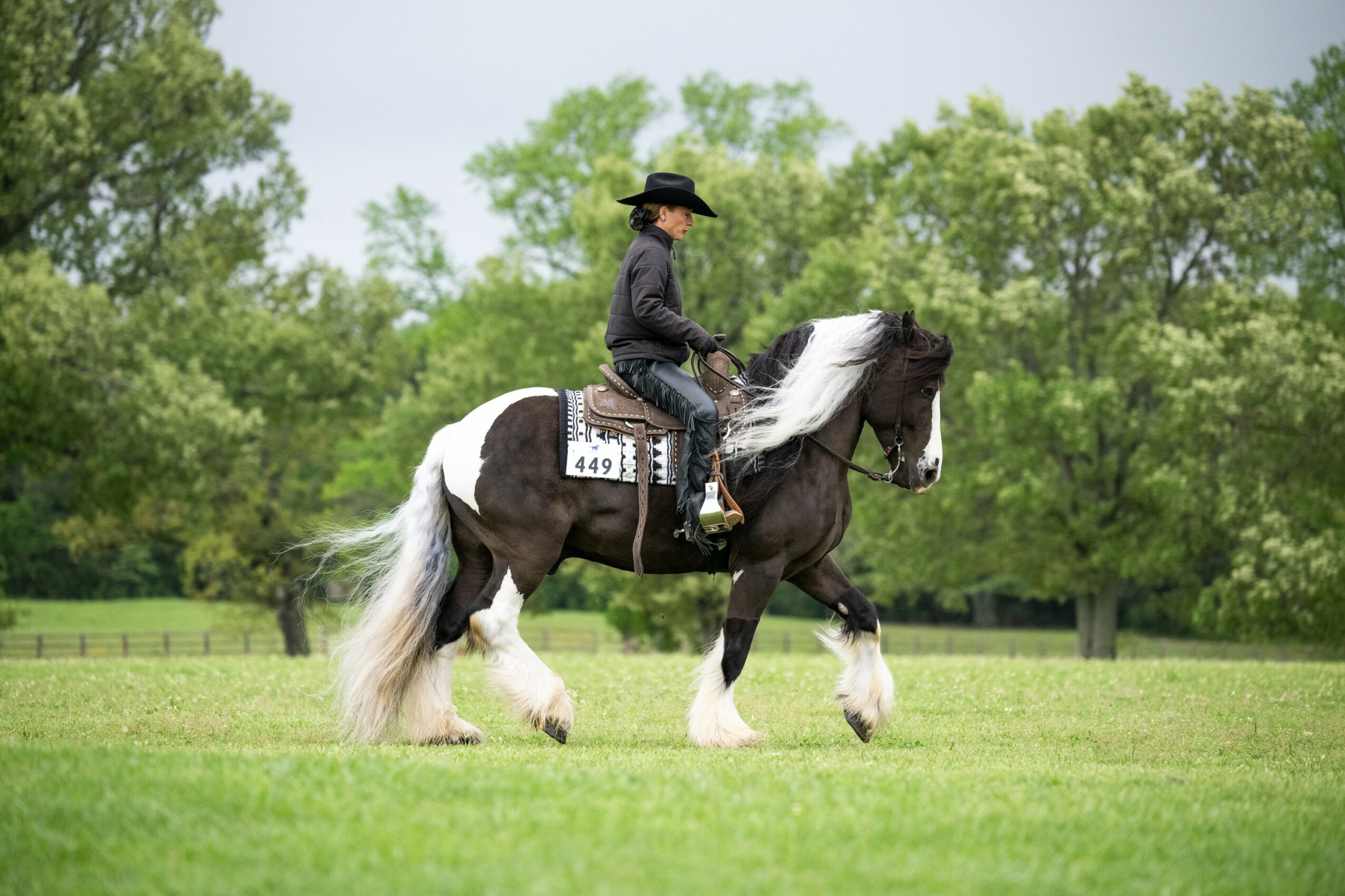 Person riding a black and white horse in a grassy field with trees in the background.