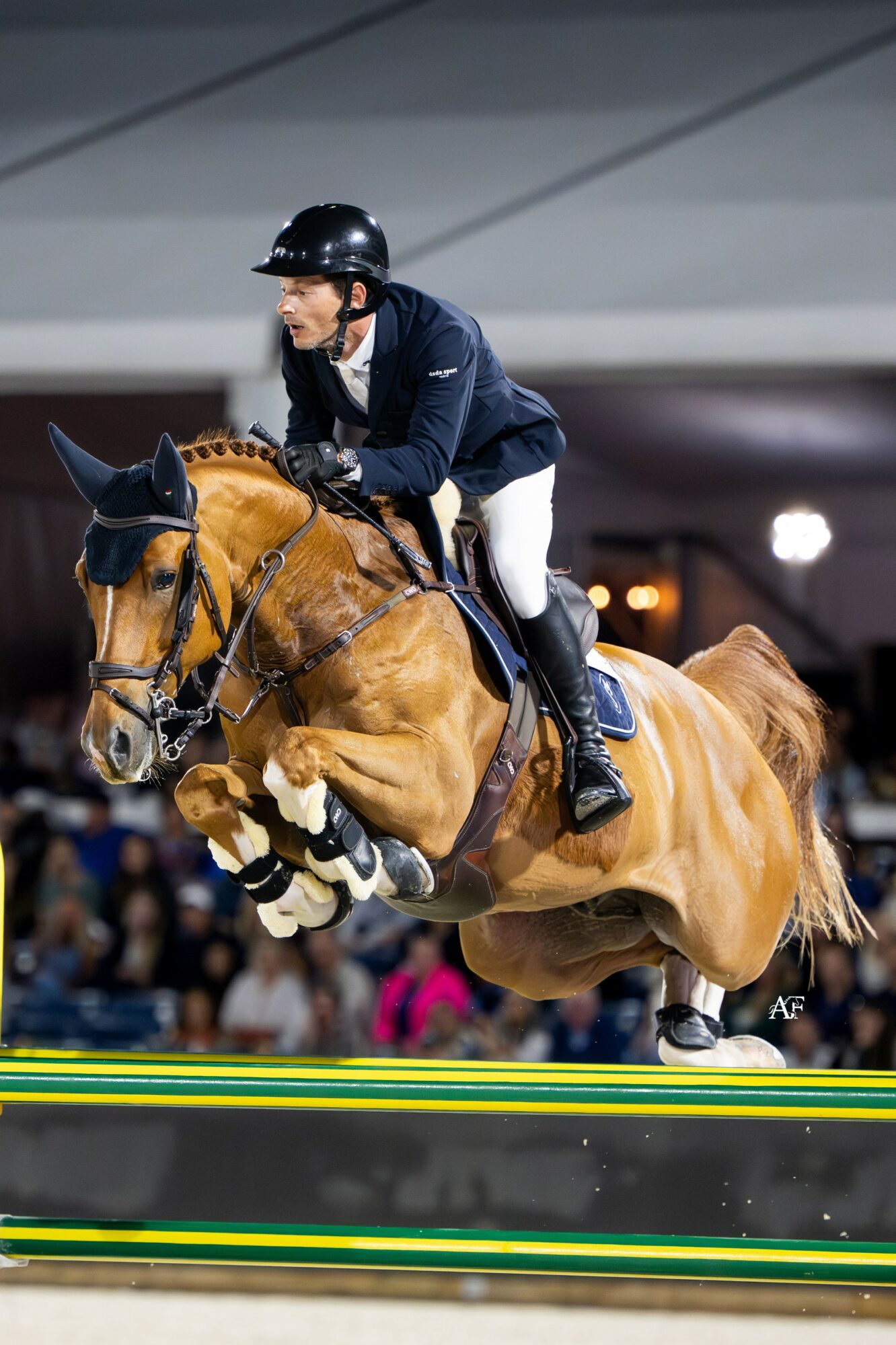 Person riding a horse jumping over an obstacle in an indoor arena, audience in background.