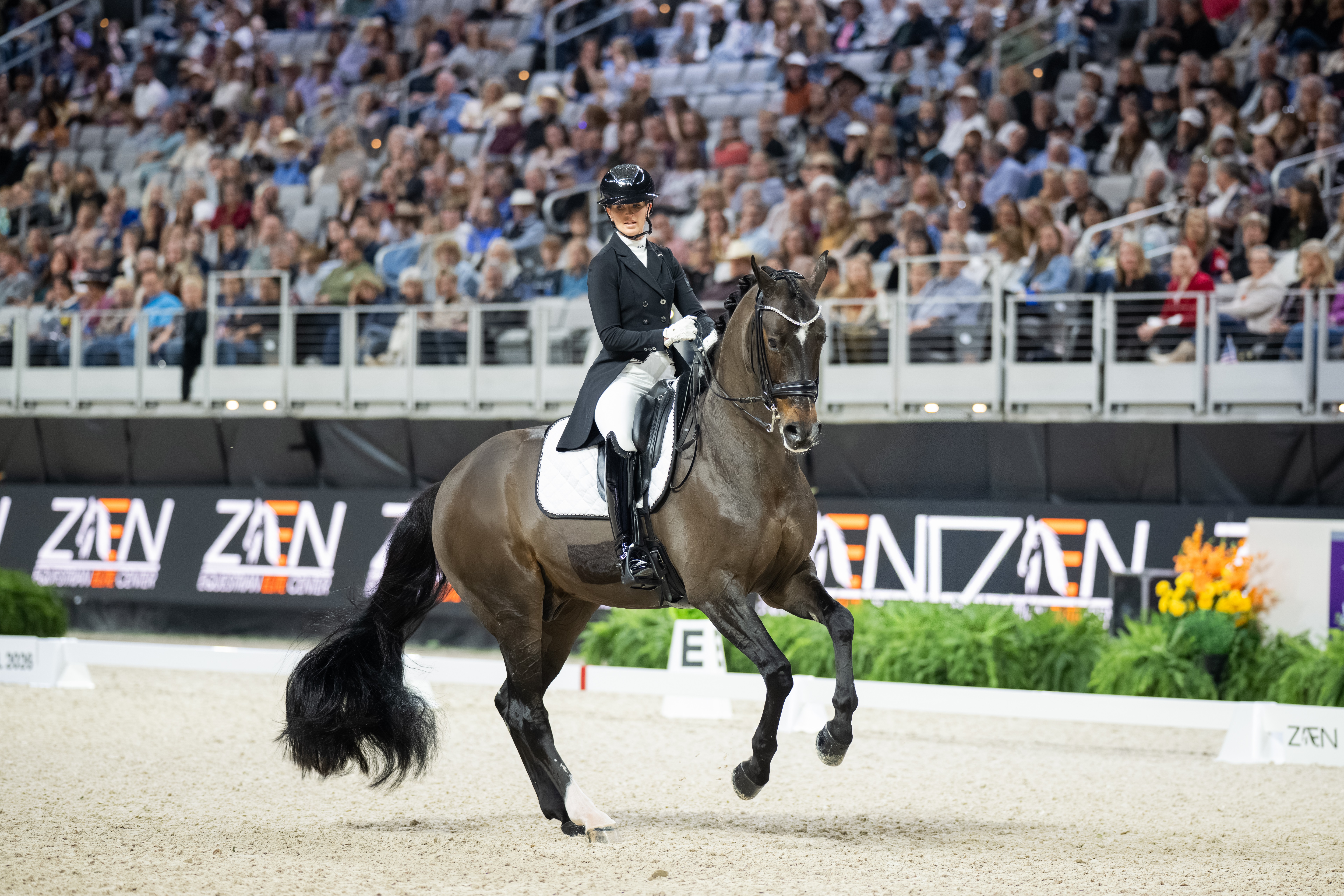 Equestrian rider in formal attire on a dark horse performing in an arena with a large audience.