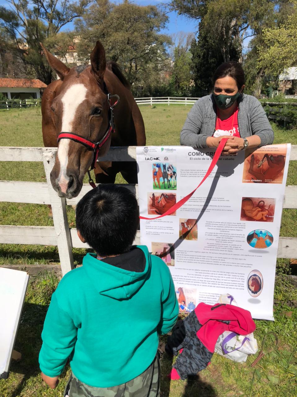 Person with face mask and gray jacket stands near a horse and a poster, with a child in a teal hoodie holding a stick.