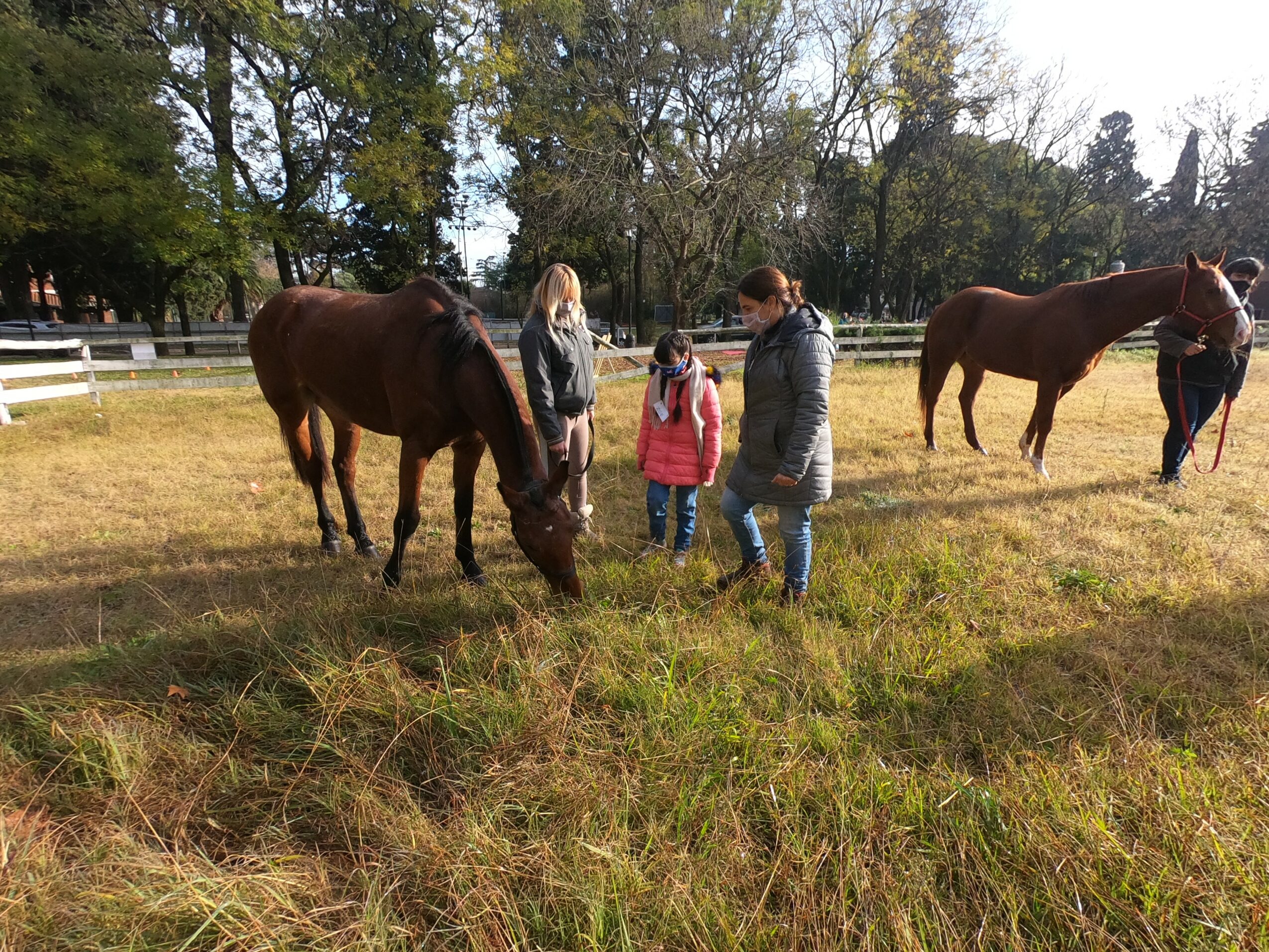 Three people and two horses in a grassy field with trees in the background.
