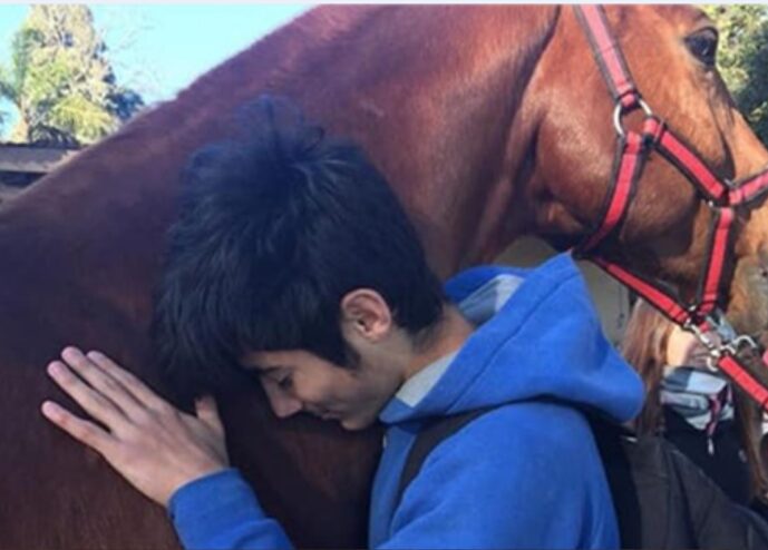 Person with dark hair in a blue hoodie resting head on a brown horse's neck outdoors.