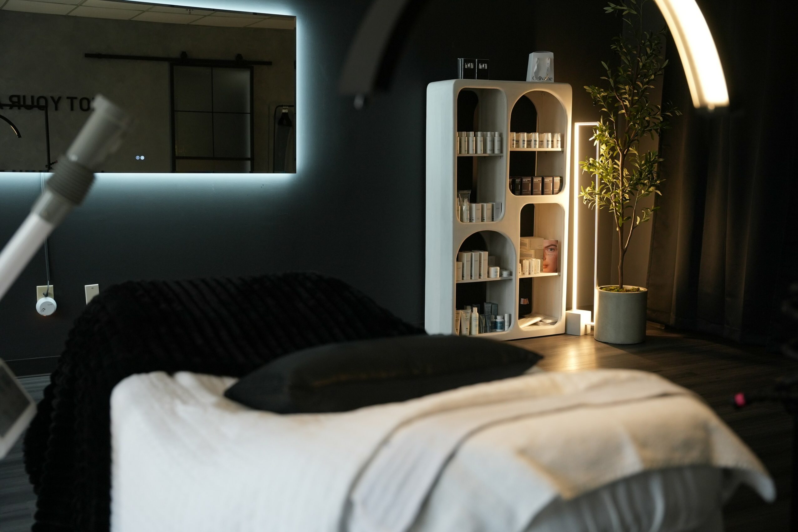 Bedroom with bed, black pillow, white blanket, bookshelf, mirror, and potted plant in dim lighting.
