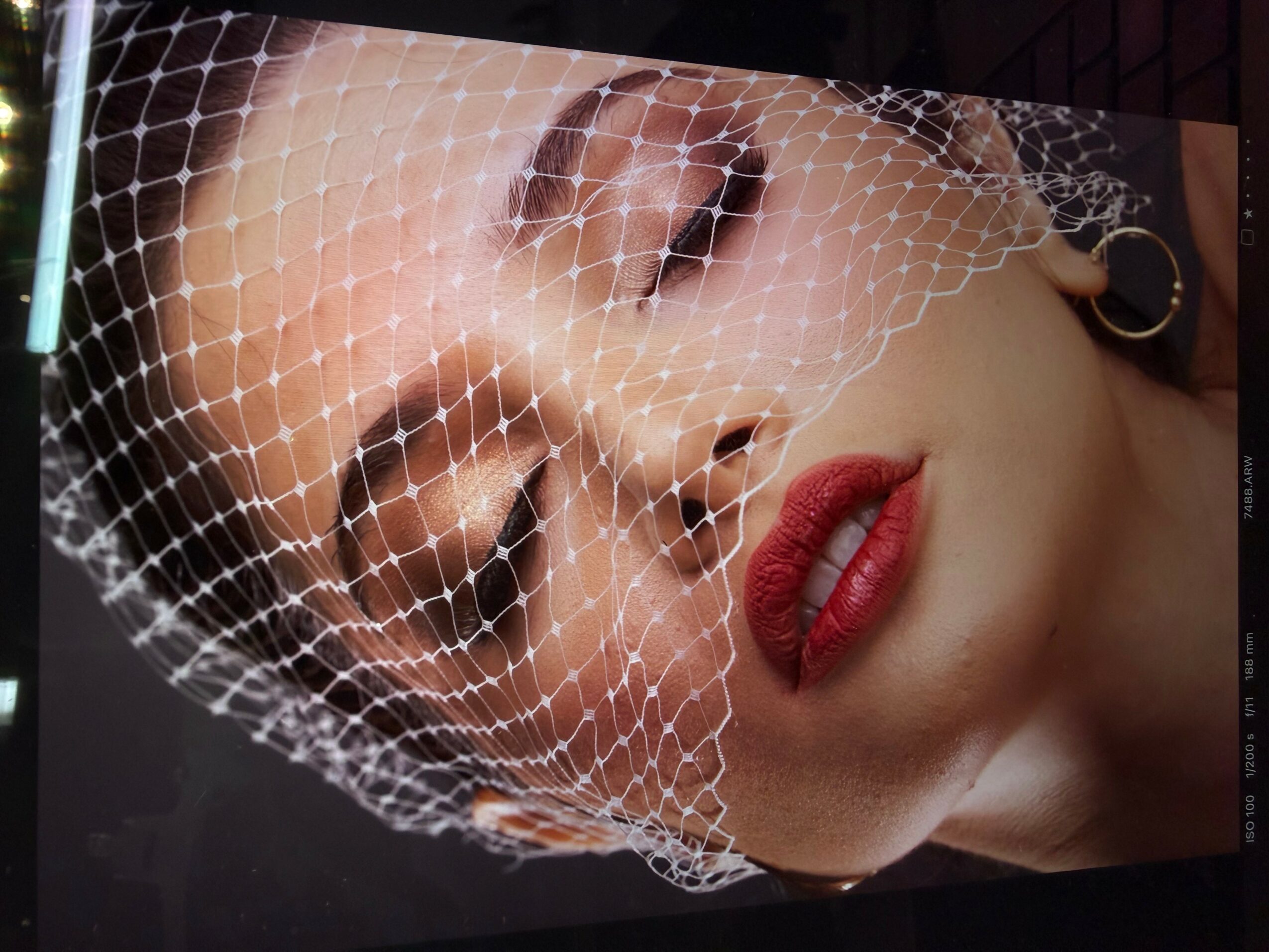 Close-up of a woman's face with makeup, wearing a netted veil, eyes closed, lips slightly parted.
