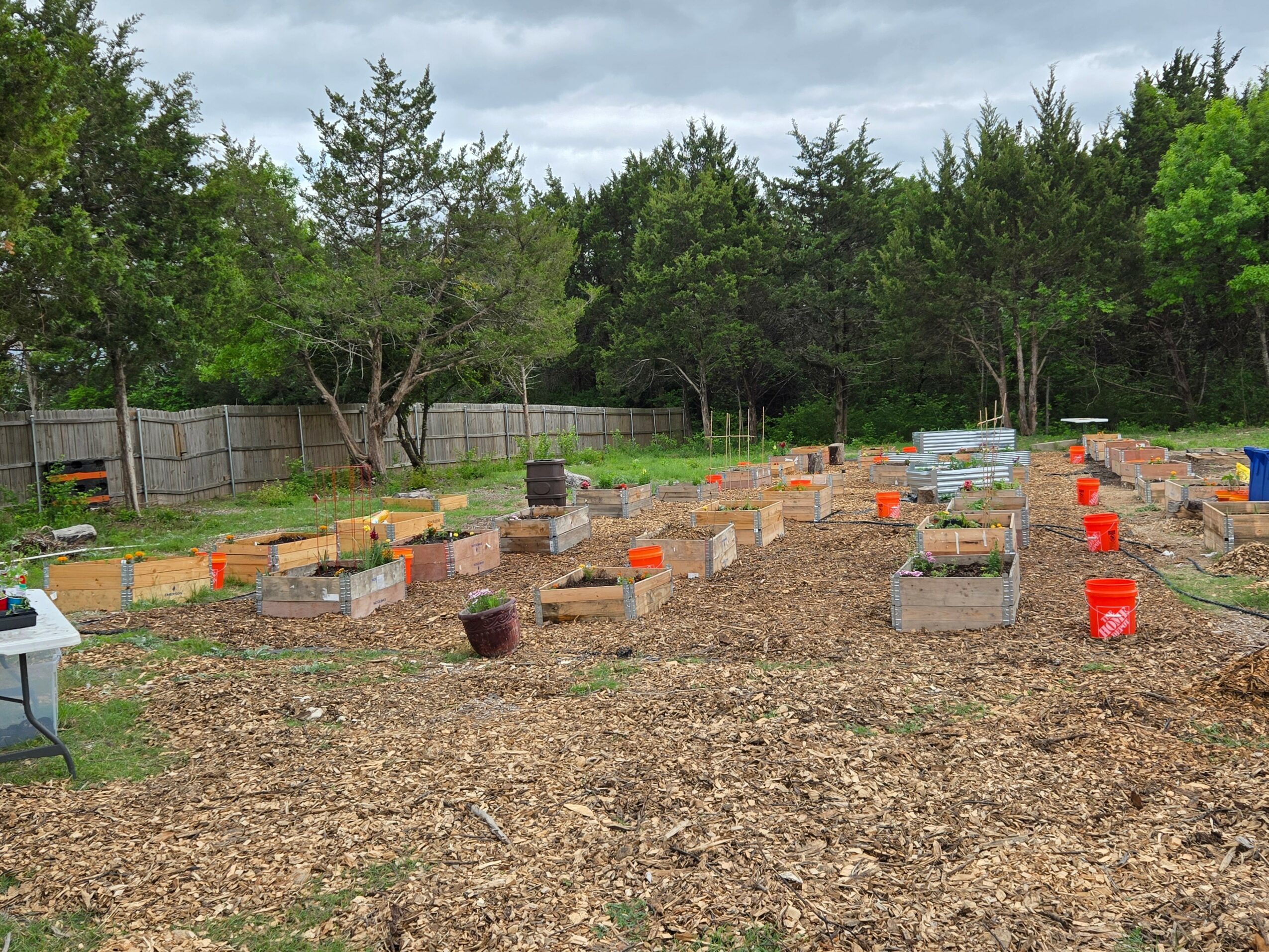 Garden bed with wooden borders and potted plants, surrounded by soil and trees in the background.