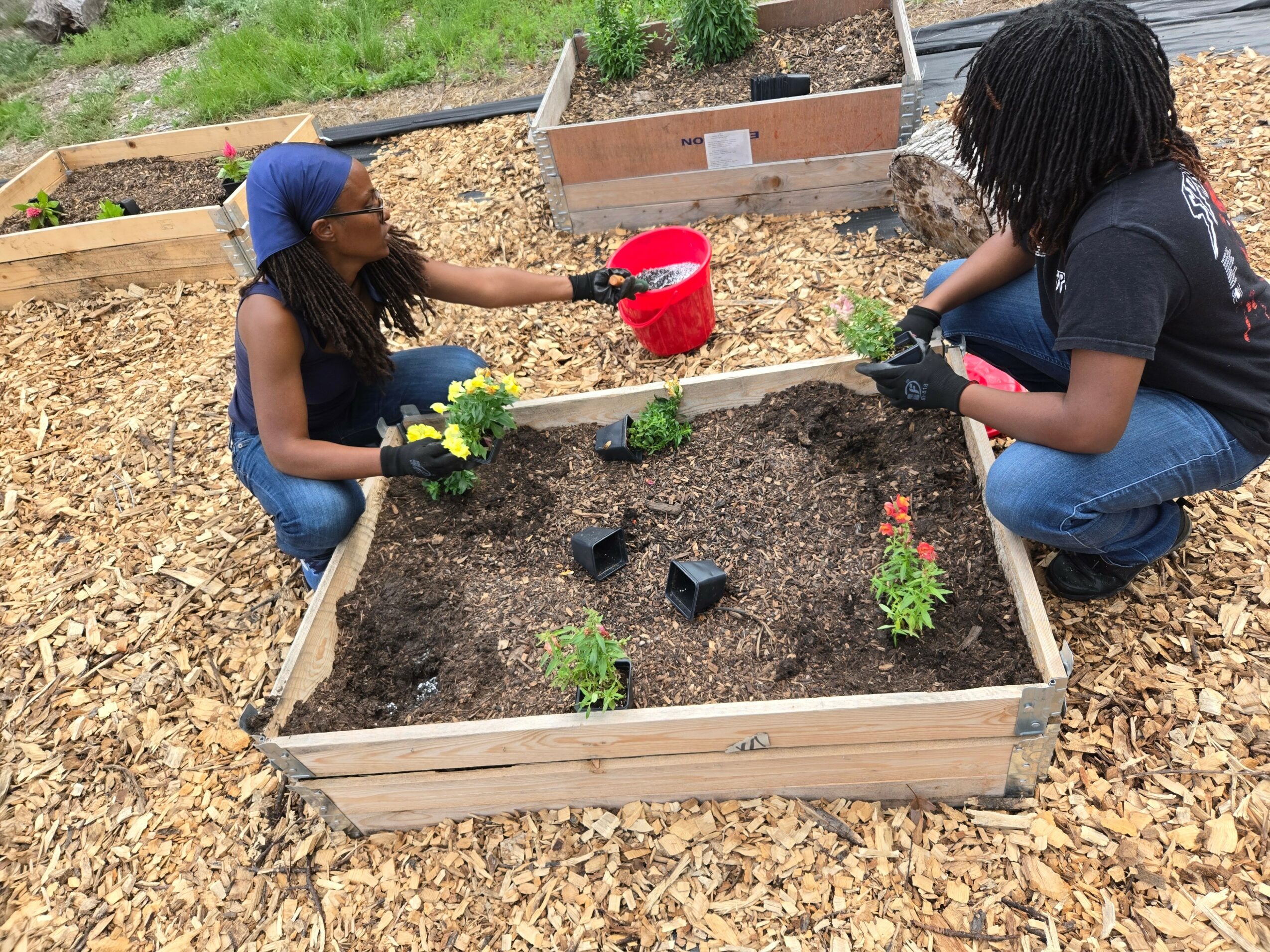 Two women planting flowers in a raised garden bed outdoors, with gardening tools and plants around them.