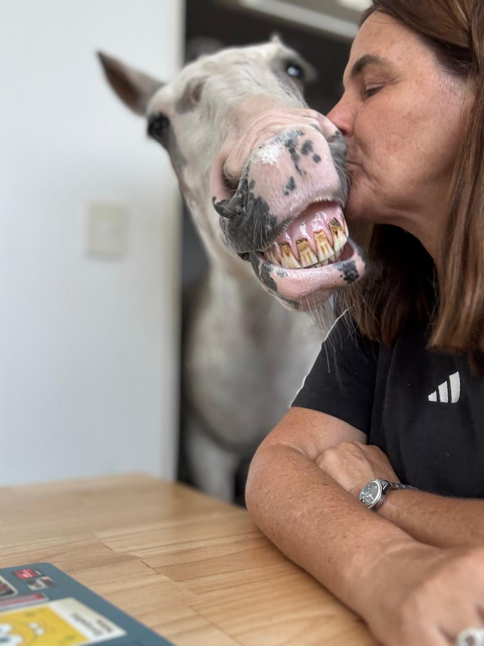 Woman kisses a smiling horse with visible teeth, sitting at a wooden table indoors.