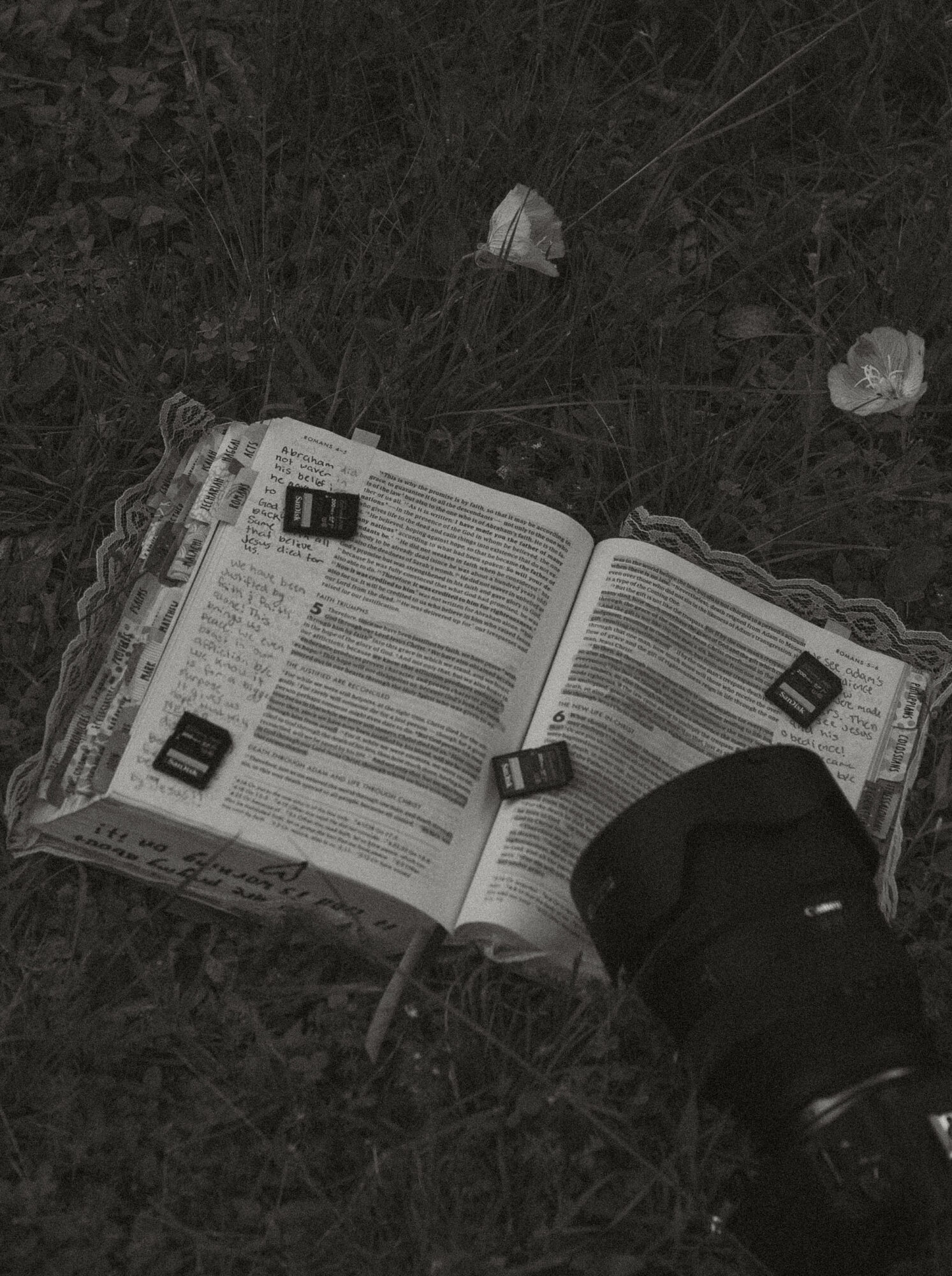Open magazine on grass with scattered flowers and a camera lens nearby.