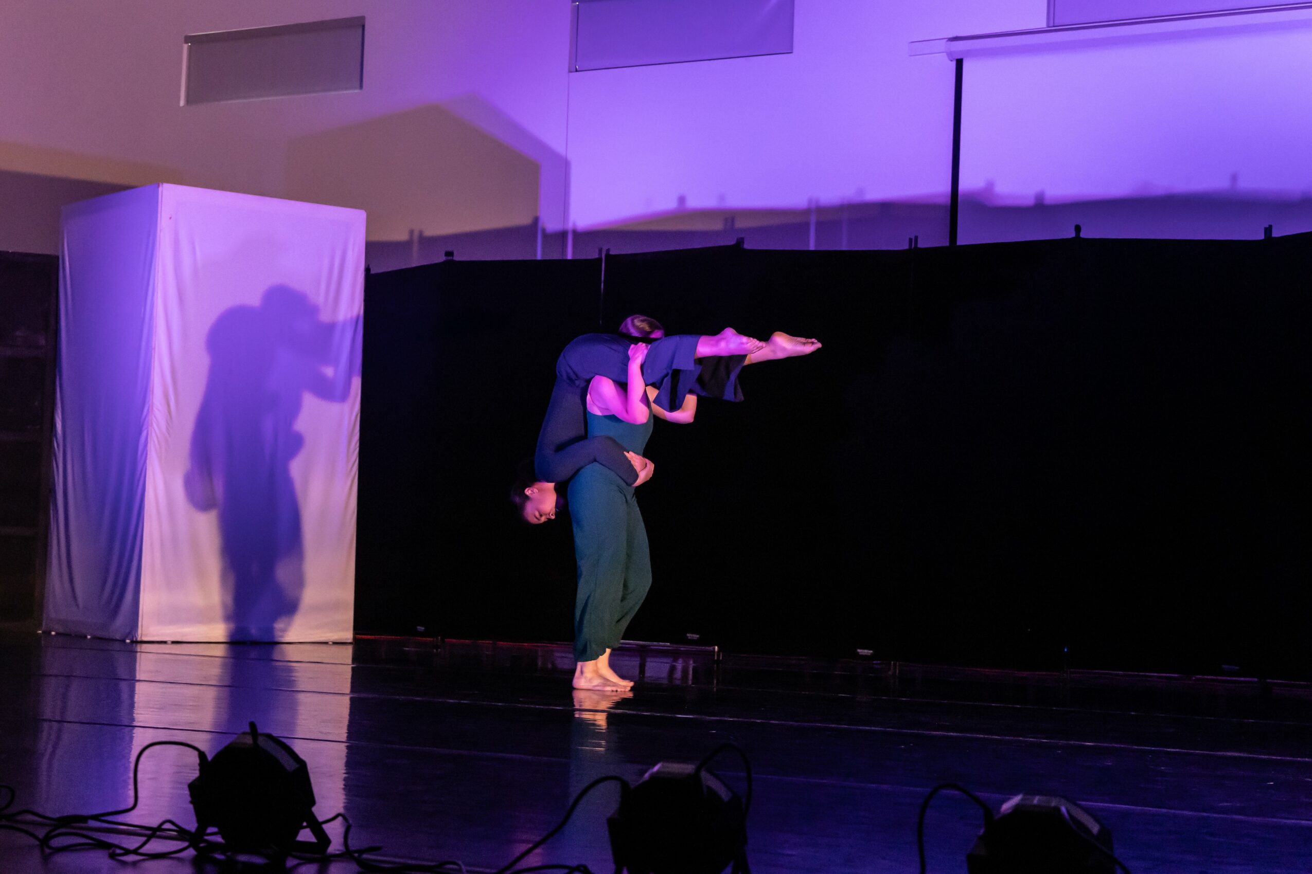 Performer on stage holding a rifle, shadow cast on curtain, stage with black backdrop and purple lighting.