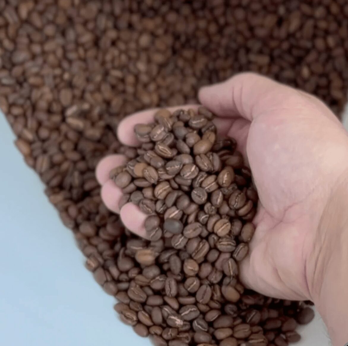 Hand holding a handful of roasted coffee beans over a large pile of beans.