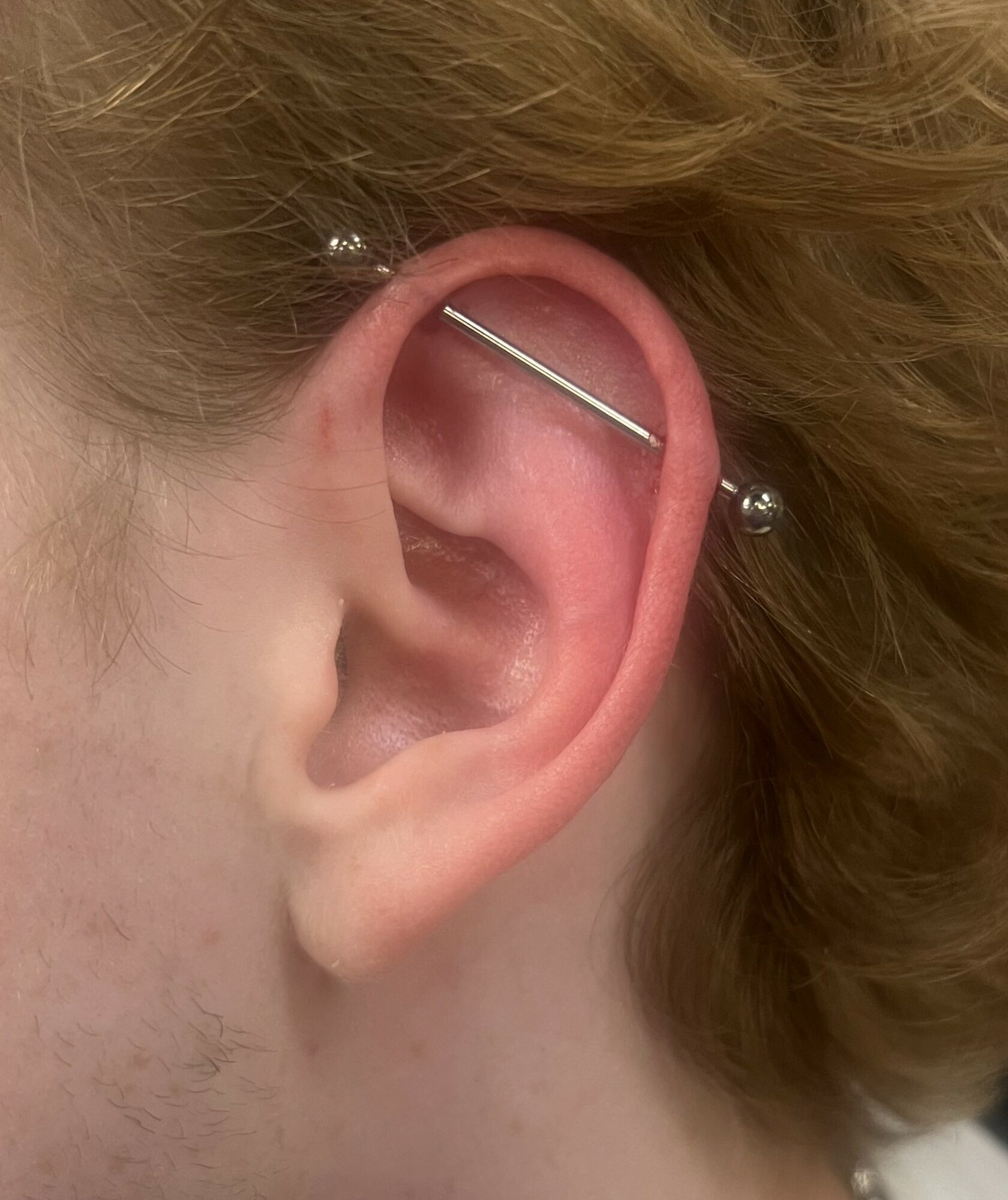 Close-up of a person's ear with multiple piercings, including a barbell in the upper cartilage.