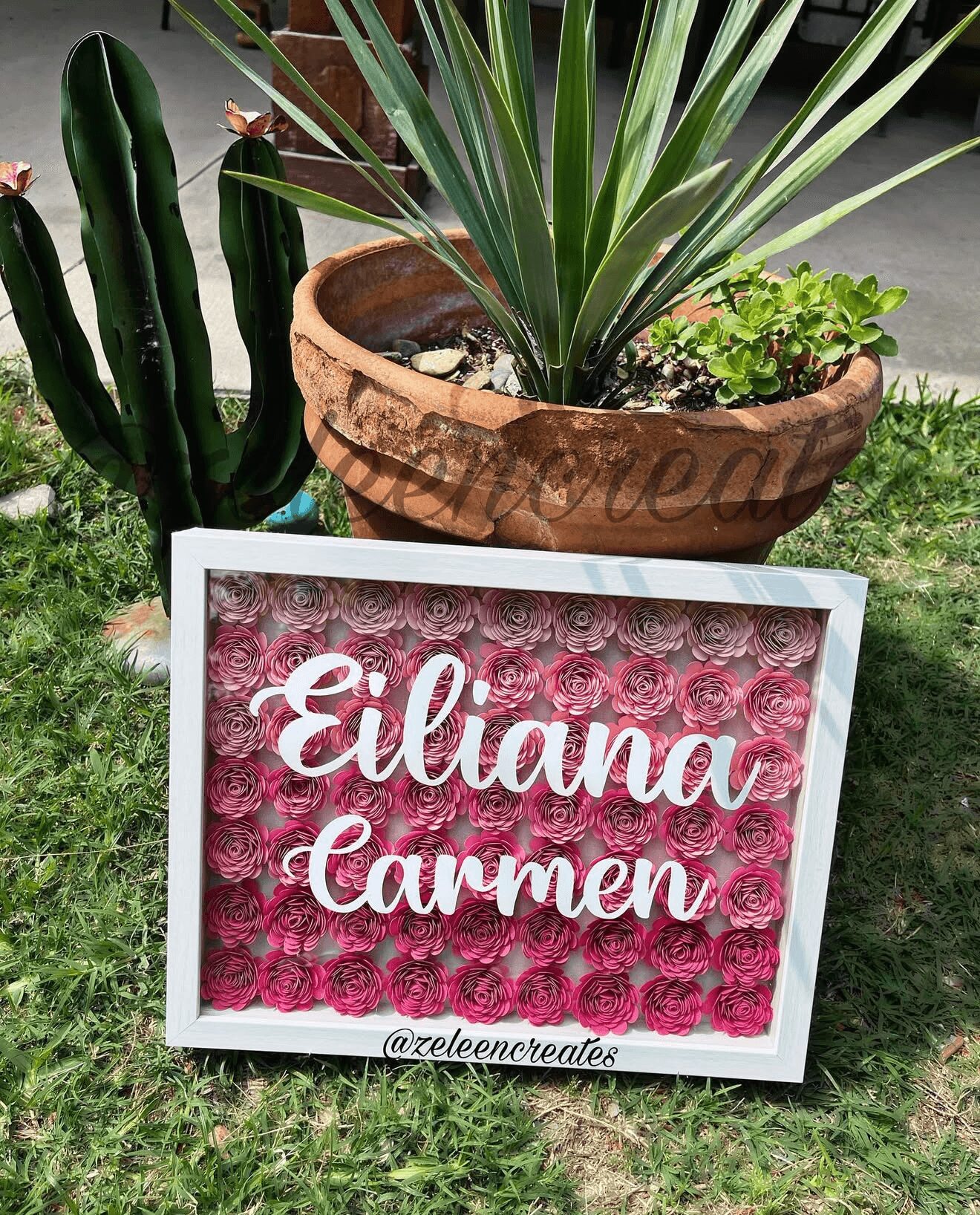Sign with pink roses background and white text reading 'Eilianna Carmen' on grass with potted plants behind.