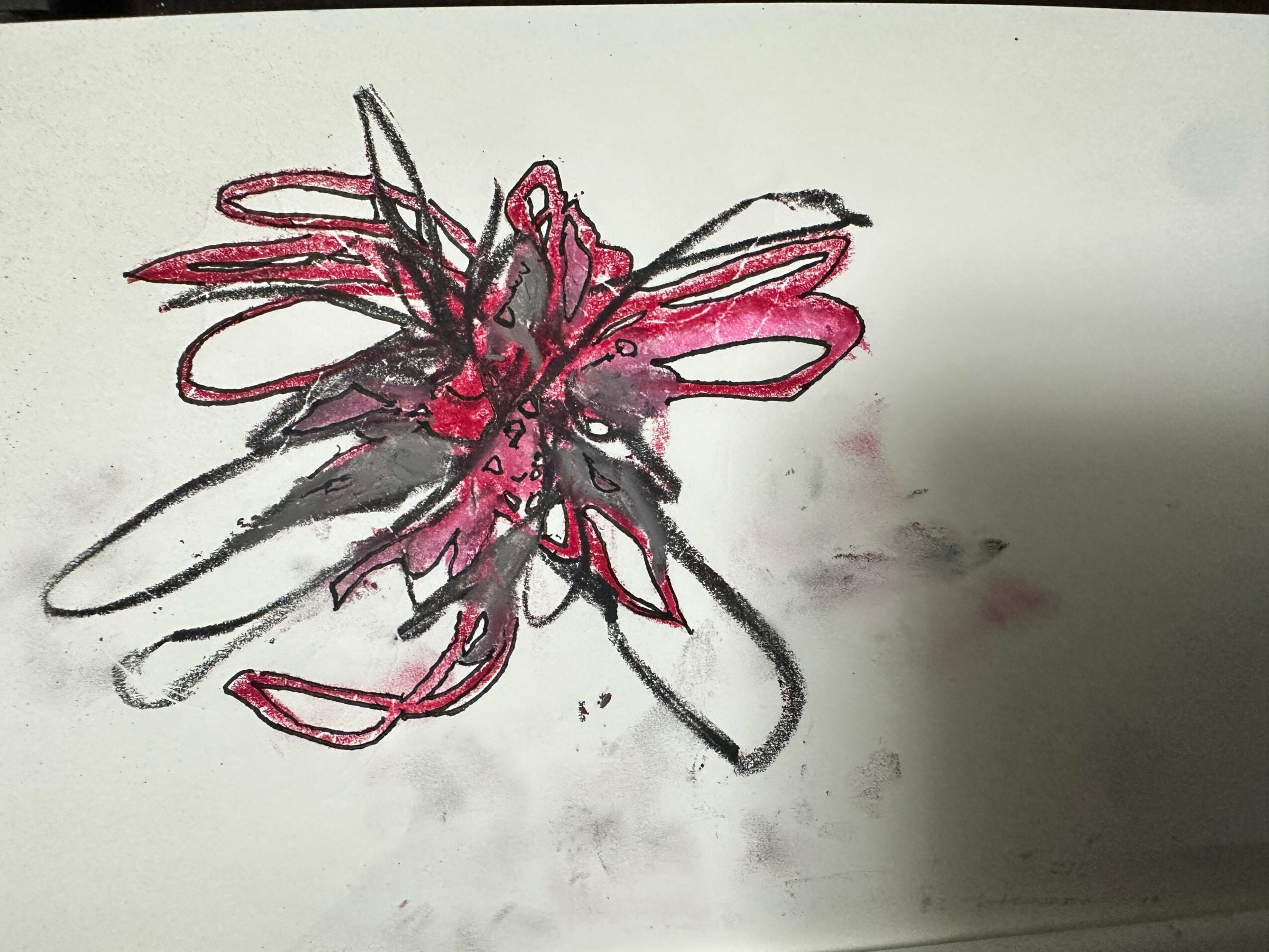 Abstract drawing of a pink and black insect with wings on white paper.