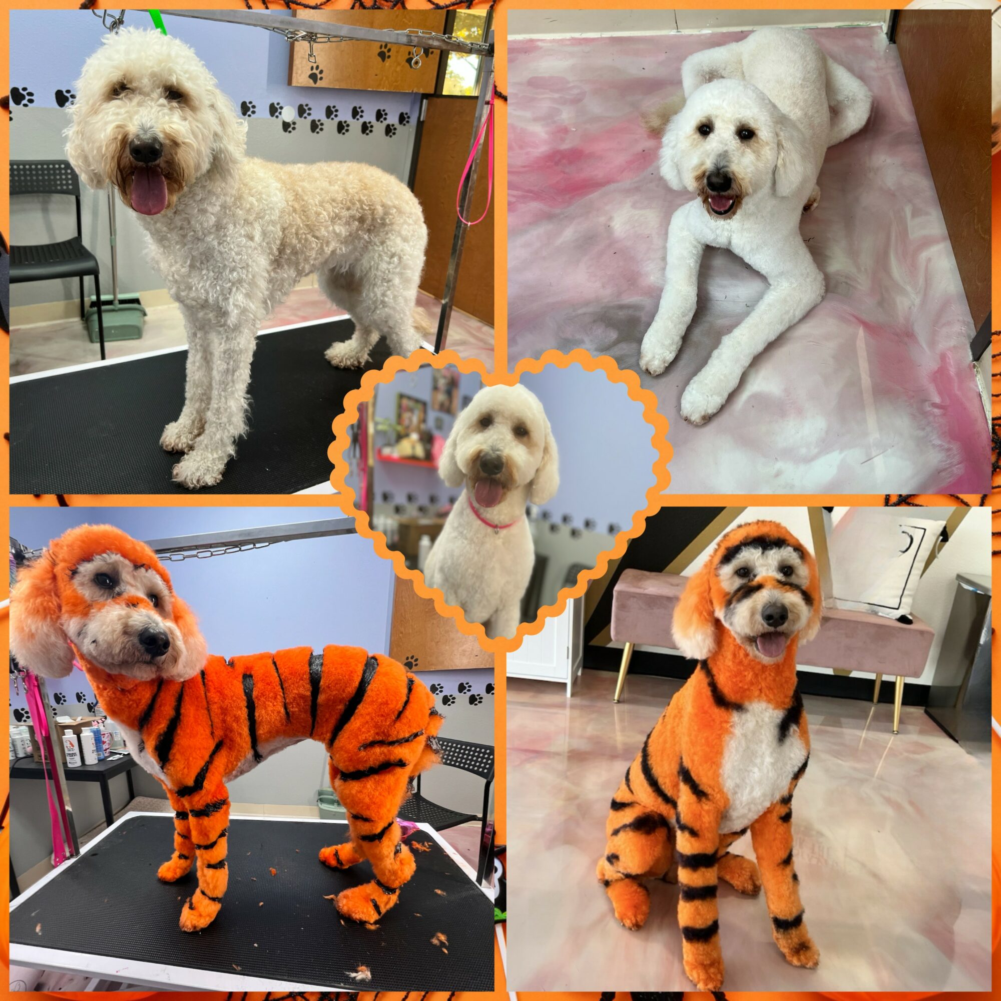 Four dogs in different costumes and settings, with a central dog in a heart-shaped frame.