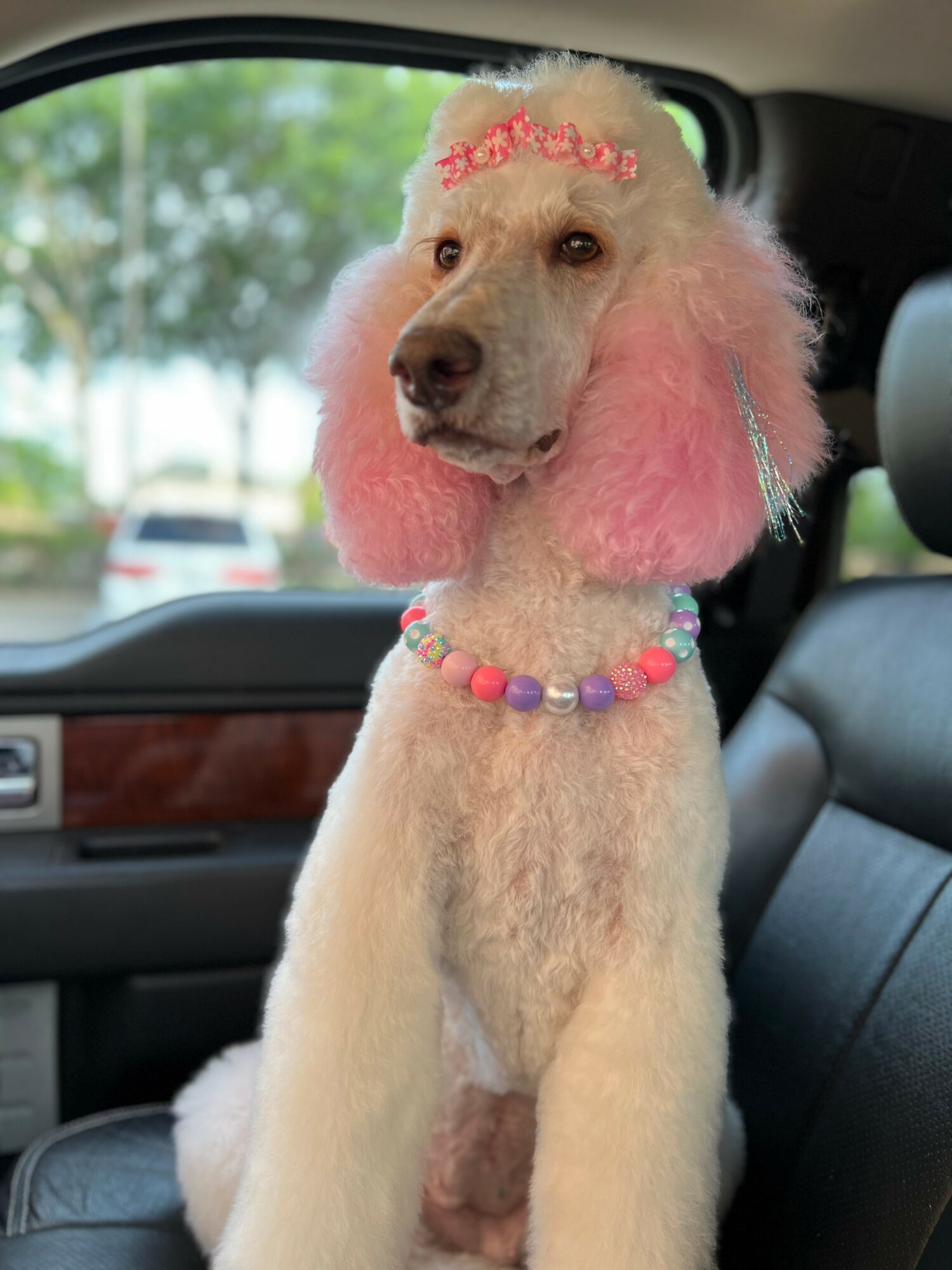 Dog with pink and white curly hair, wearing a pink headband and colorful necklace, sitting in car seat.