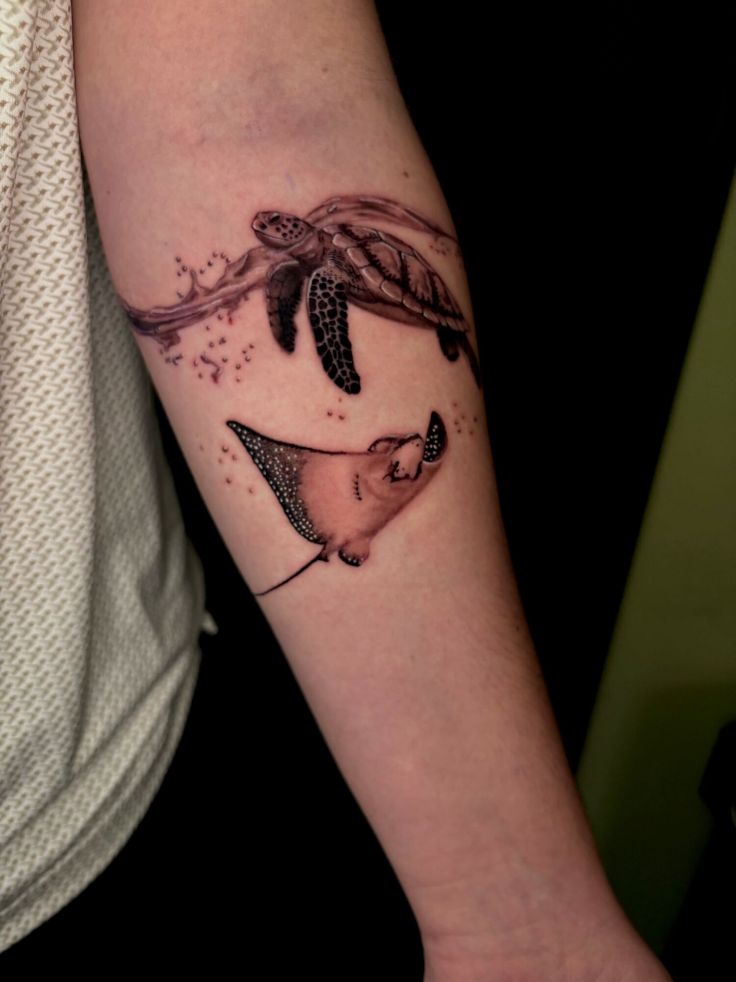 Tattoo of a turtle and a fish on person's arm, with detailed shading and dot work.