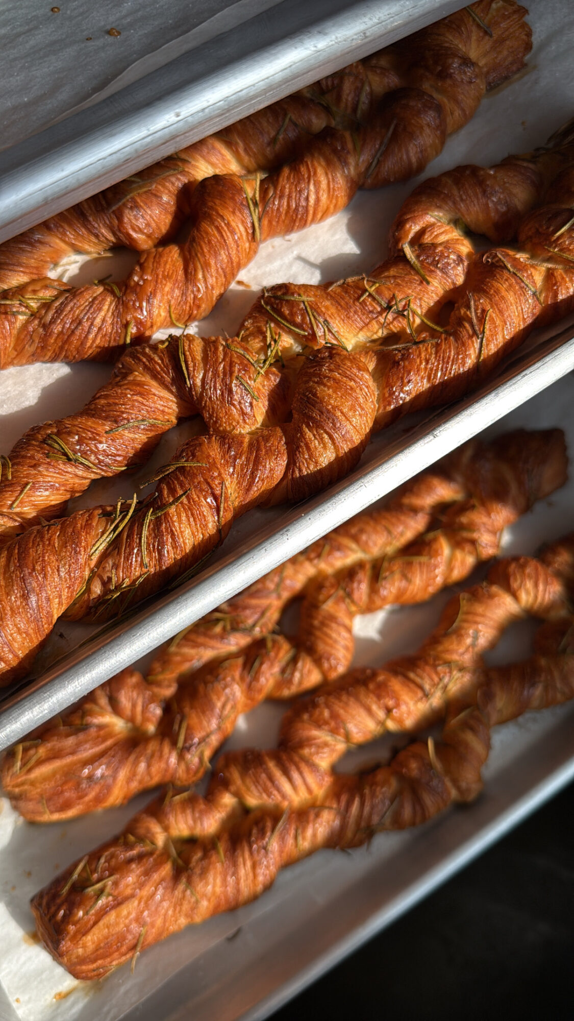 Multiple twisted, golden-brown breadsticks on metal racks, stacked in rows, with a shiny surface and textured appearance.