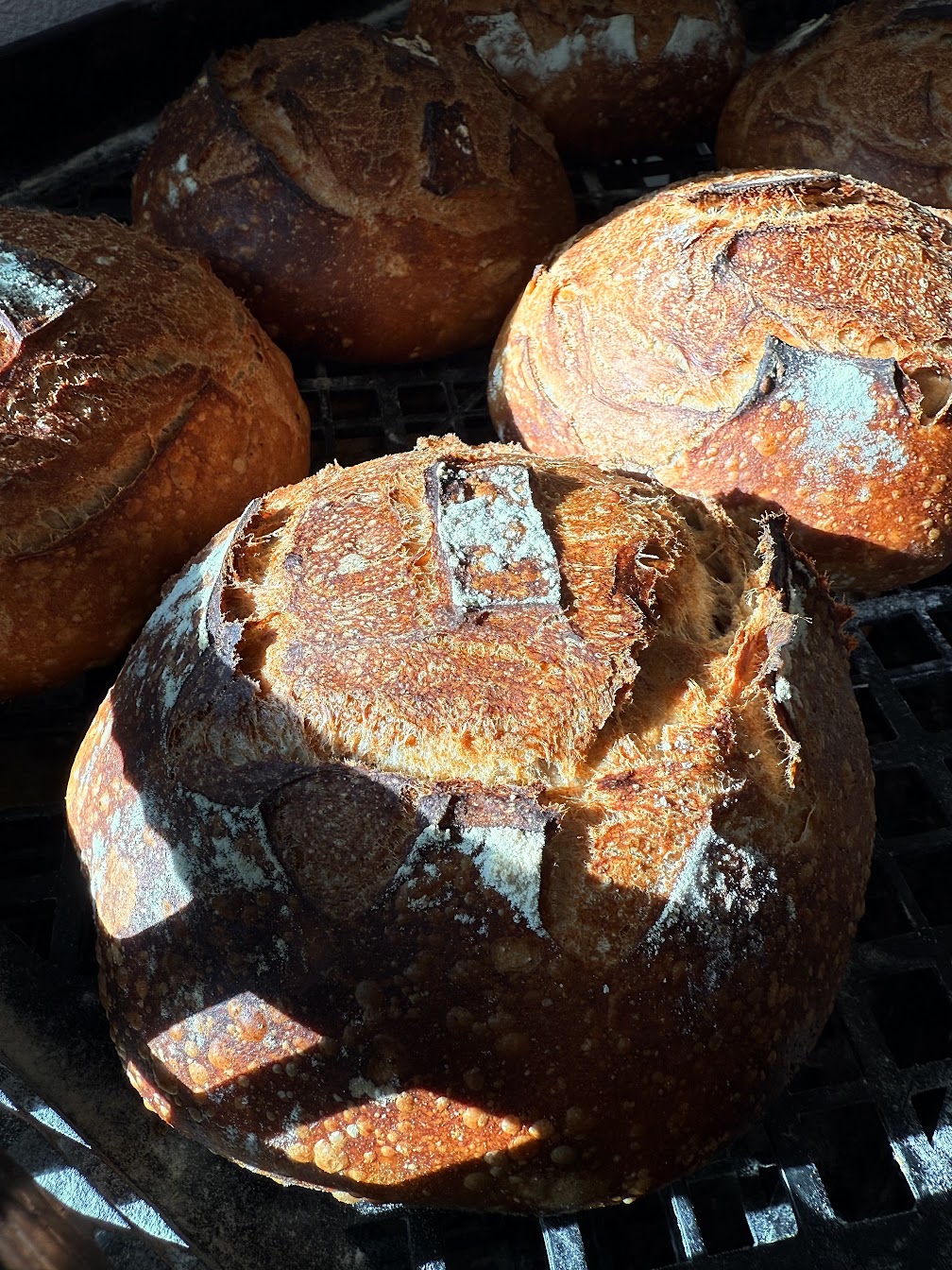 Close-up of baked bread rolls with a golden crust, some with cracks, on a wire rack.