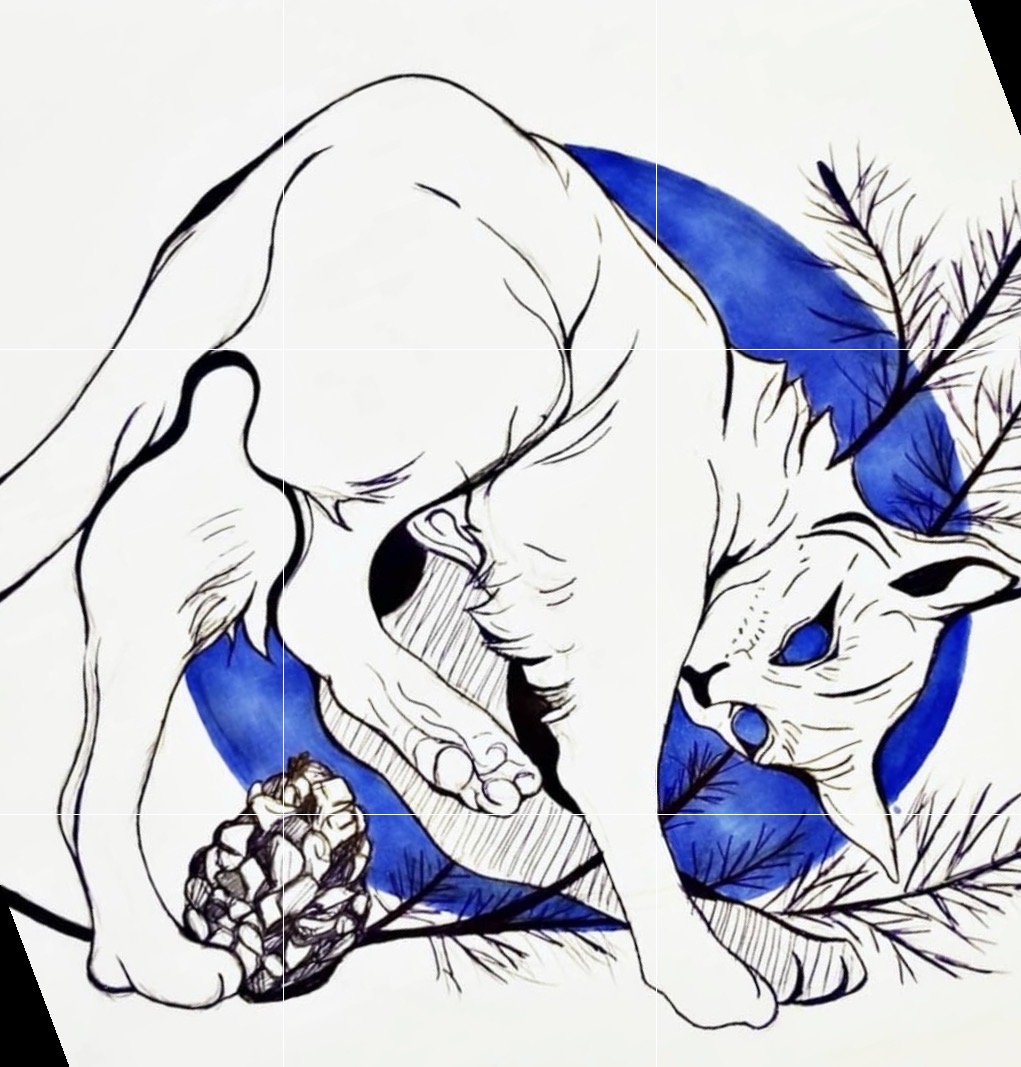 A line drawing of a cat lying on a blue background with leaves, holding a pine cone in its paws.
