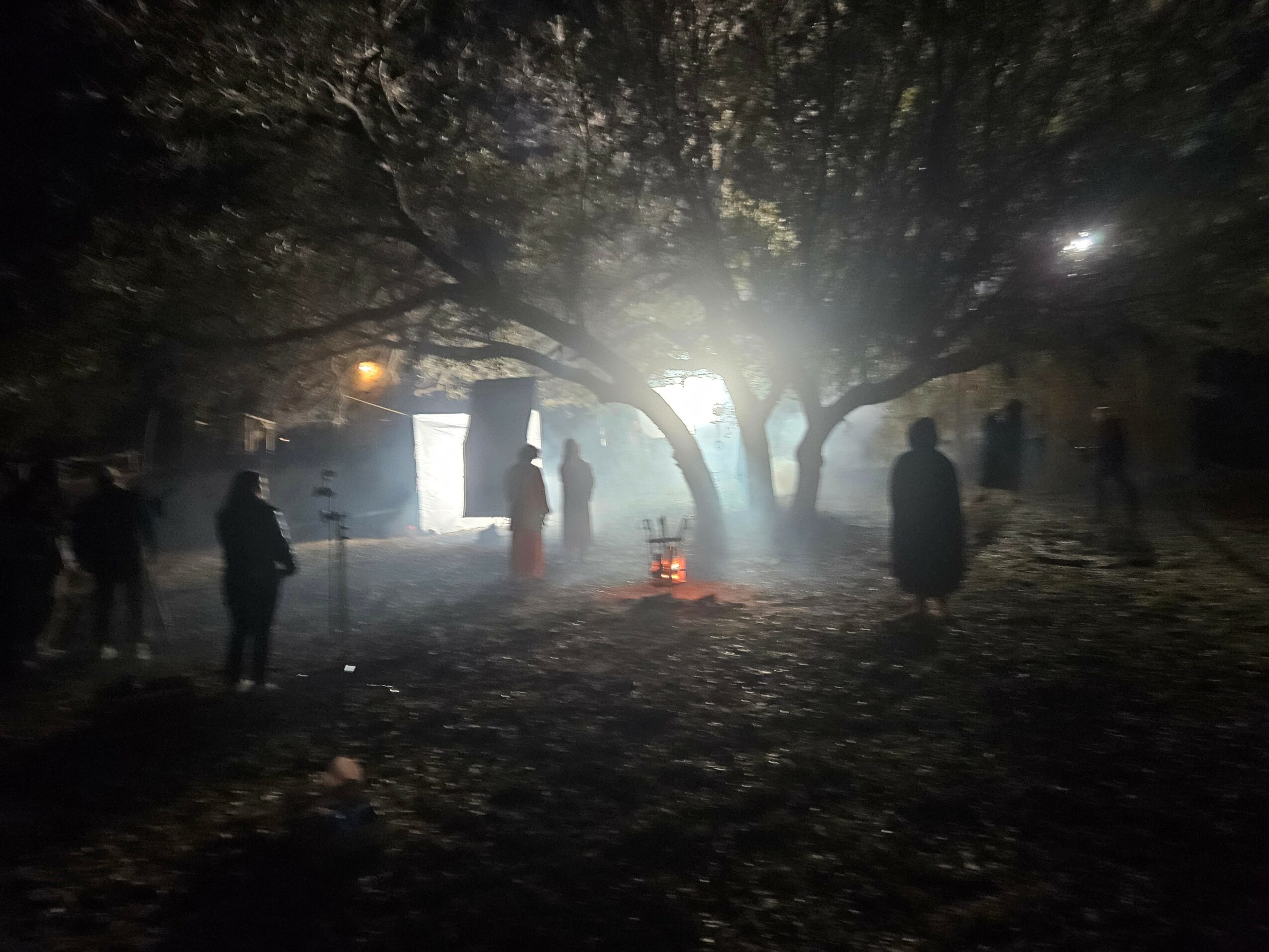 Night scene with silhouettes of people under a large tree, bright light behind the tree, and a smoky atmosphere.