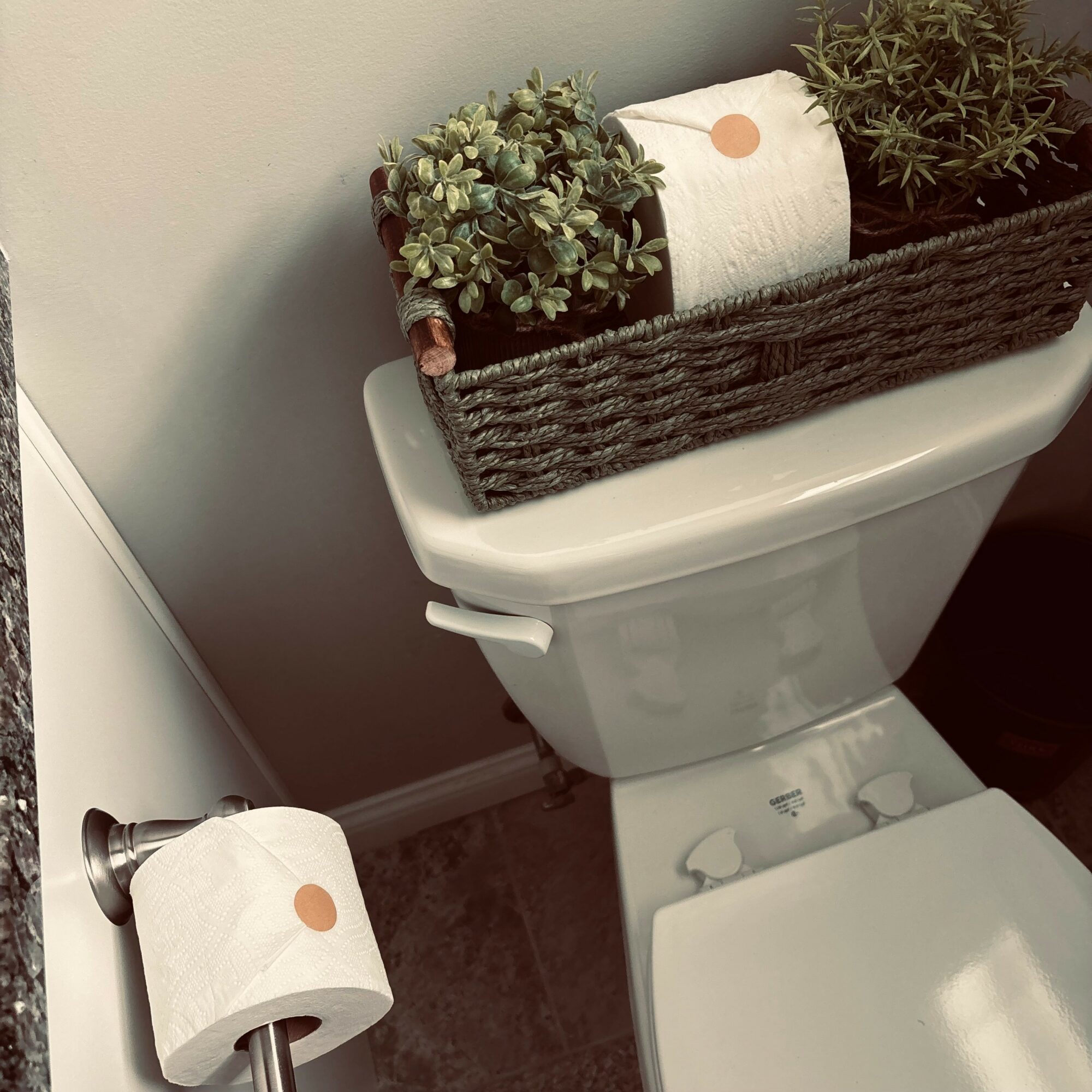 Toilet with a rectangular planter on top containing green plants and a roll of toilet paper on the tank, wall behind.