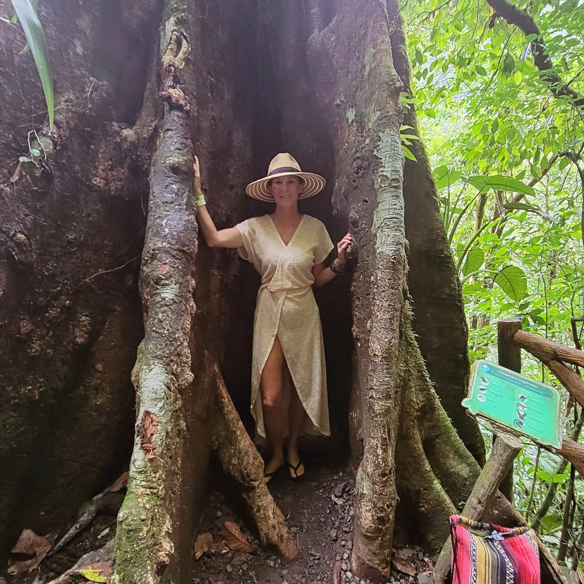 Person wearing a wide-brimmed hat and light-colored dress standing between large tree roots in a forest.