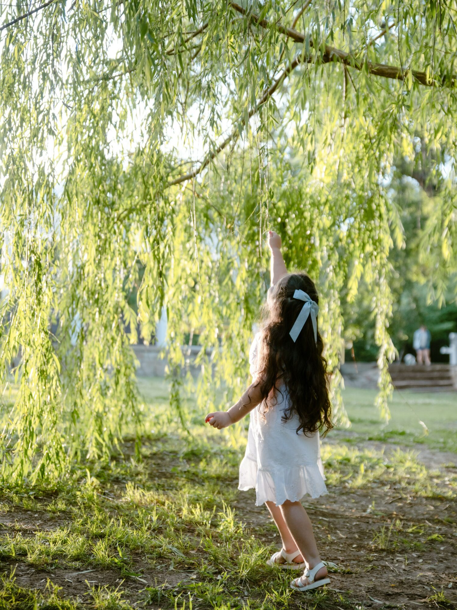 Girl in white dress reaching up to tree branch in park with green foliage and sunlight, barefoot on grass.