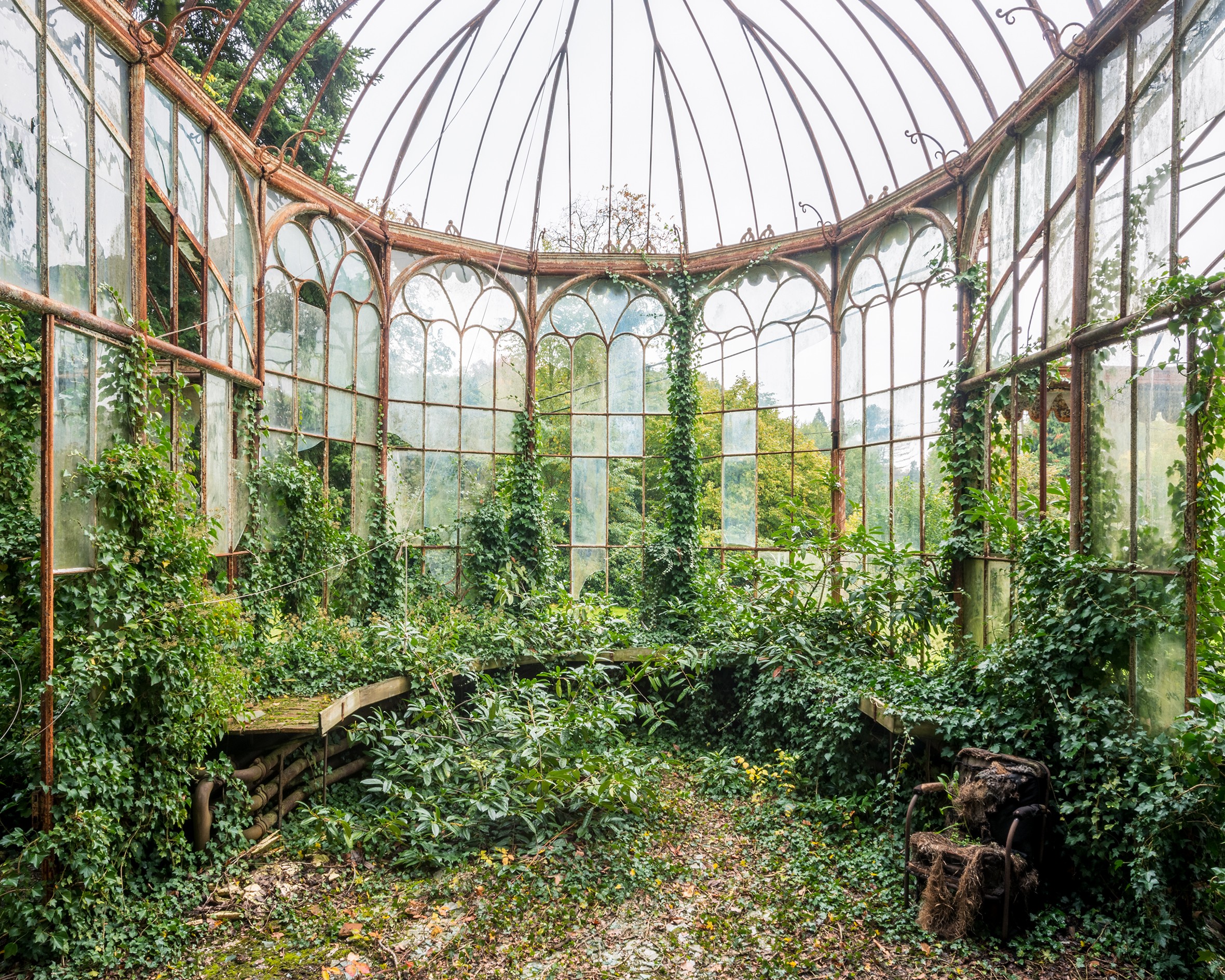 Inside a glass greenhouse filled with overgrown plants and greenery, with sunlight streaming through the glass panels.