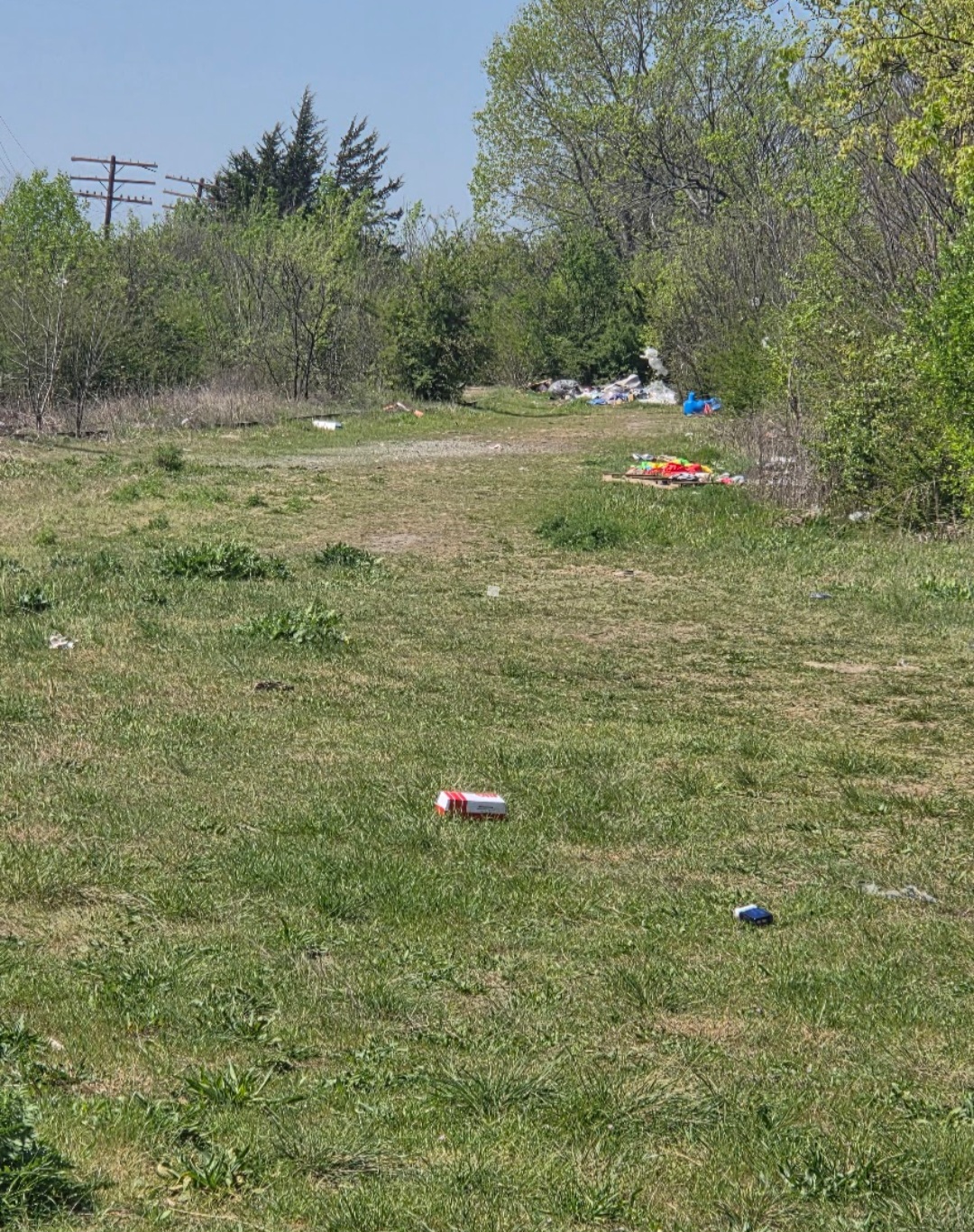 Open grassy area with scattered trash, trees, and a dirt path, under a clear sky.