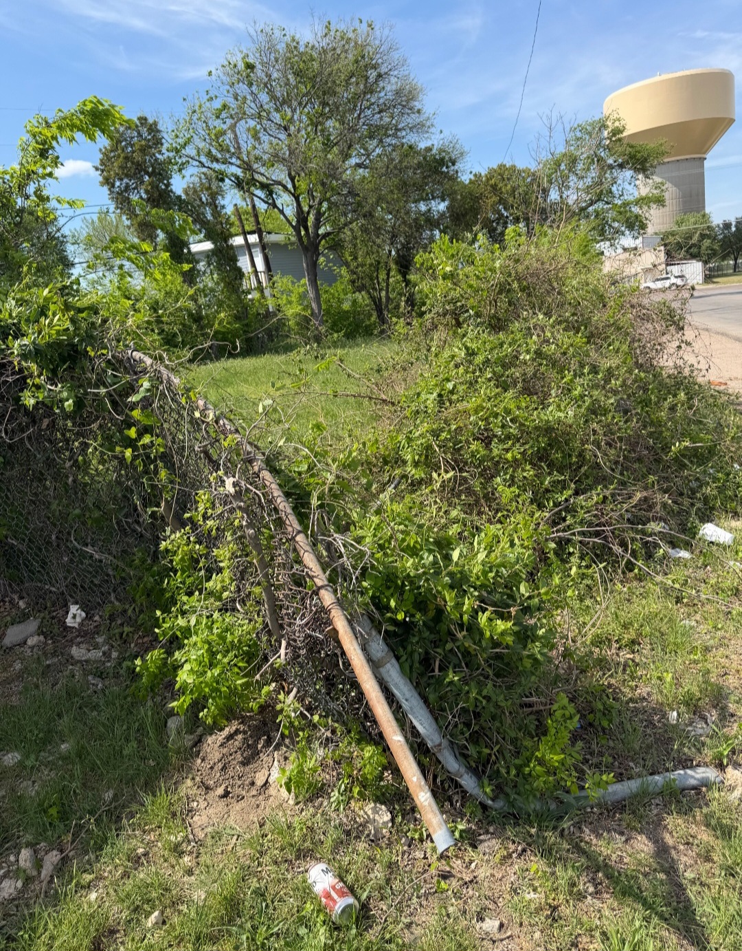 Overgrown area with fallen tree and debris near a road, water tower visible in background, clear sky.