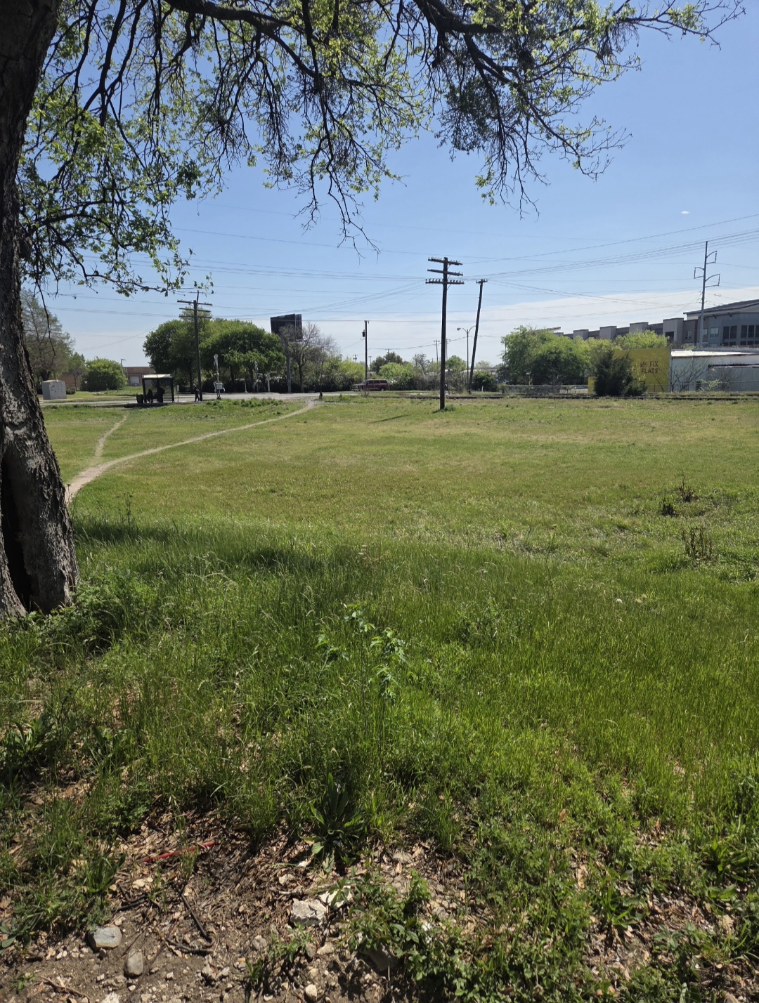 Open grassy field with trees and power lines under a clear blue sky.