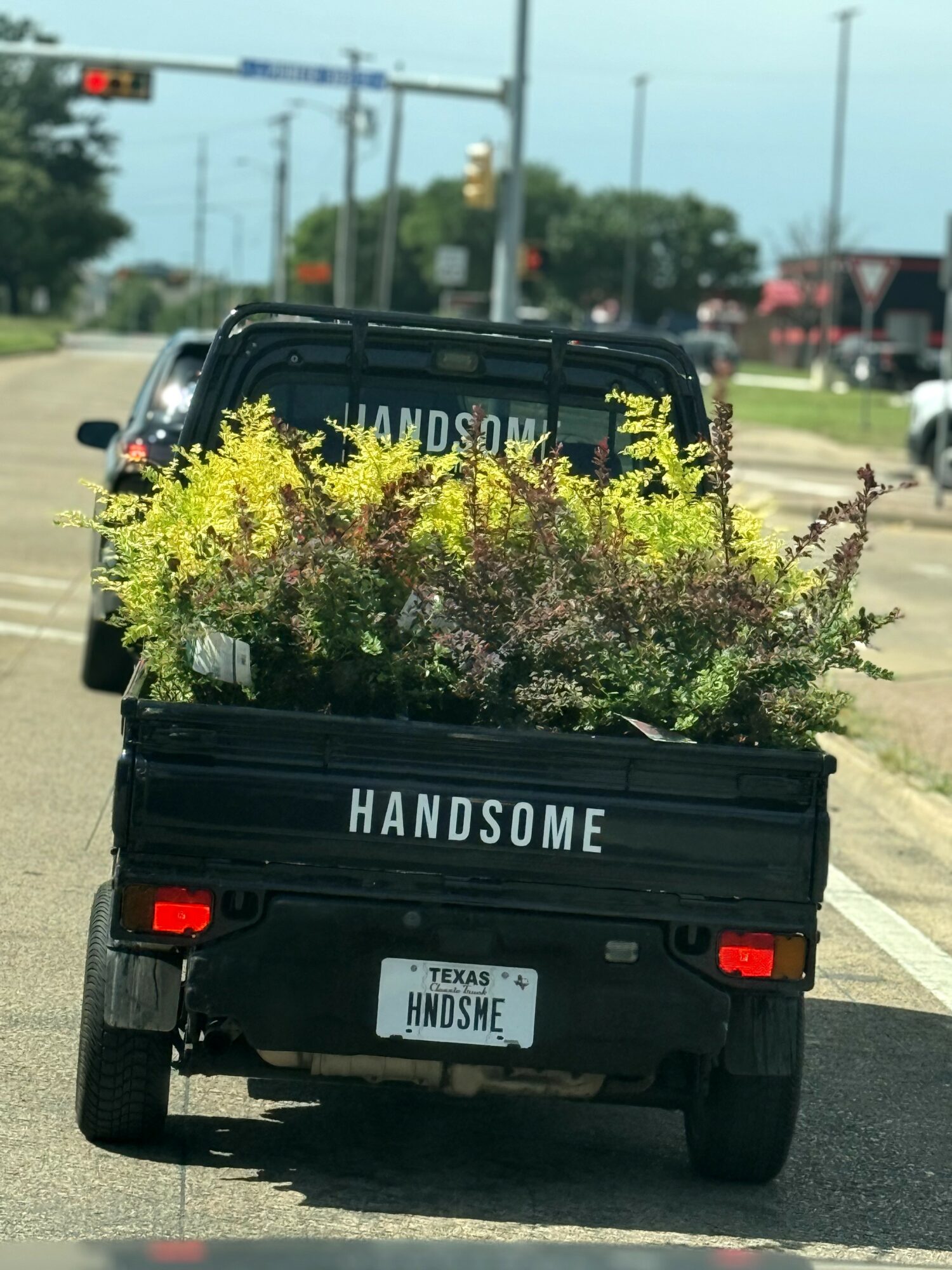 Black pickup truck with plants in the bed, the word HANDSOME on the tailgate, driving on a road with traffic lights and trees.