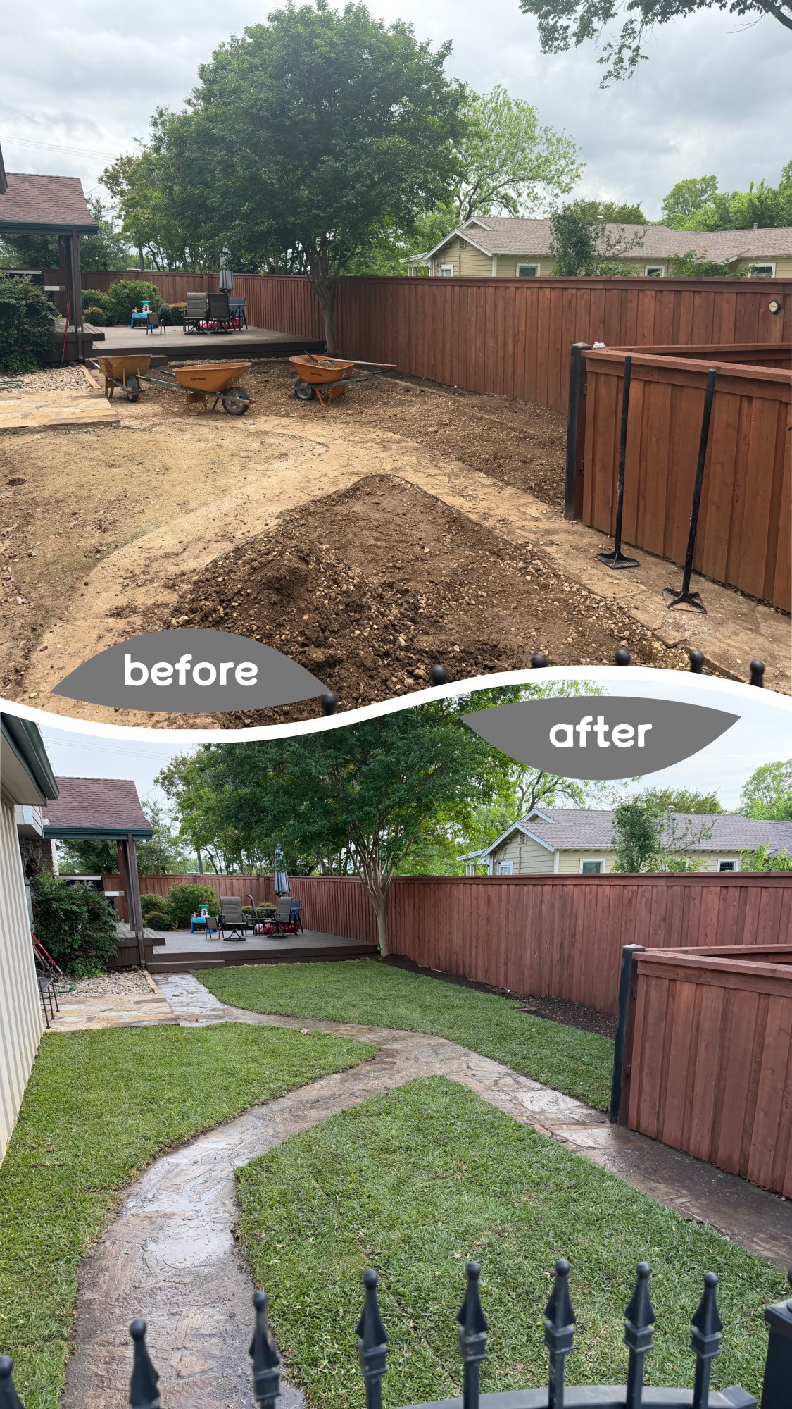 Backyard with a newly landscaped lawn, curved concrete pathway, and a wooden fence, after renovation.