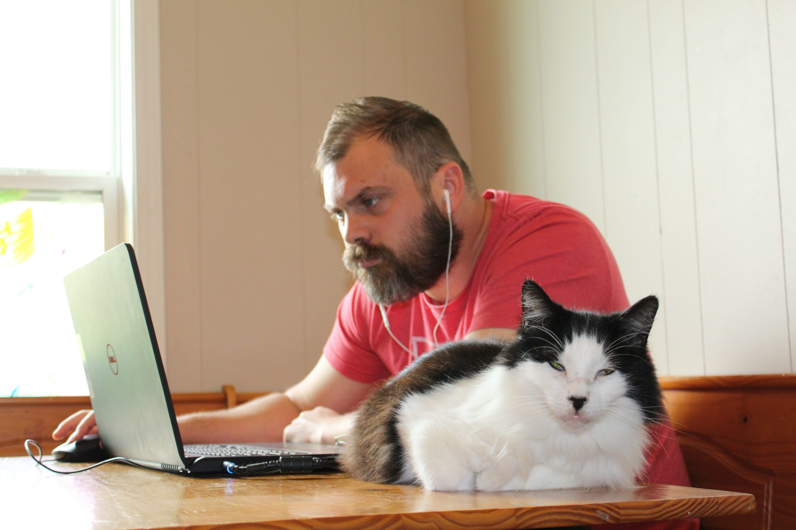 Man with beard in red shirt working on laptop, black and white cat resting on table, bright room with window