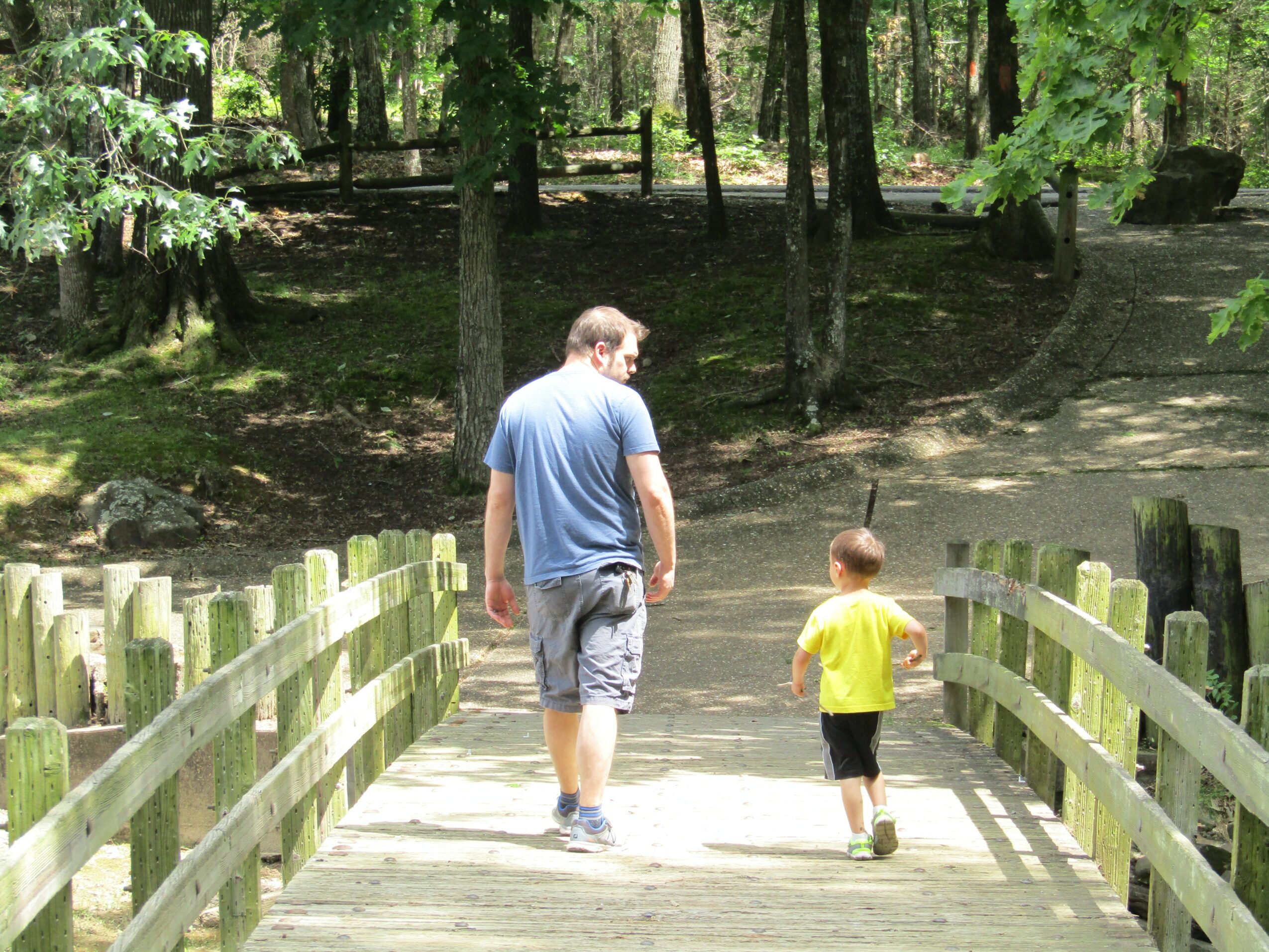 Adult and child walking on a wooden bridge in a park with trees and greenery.