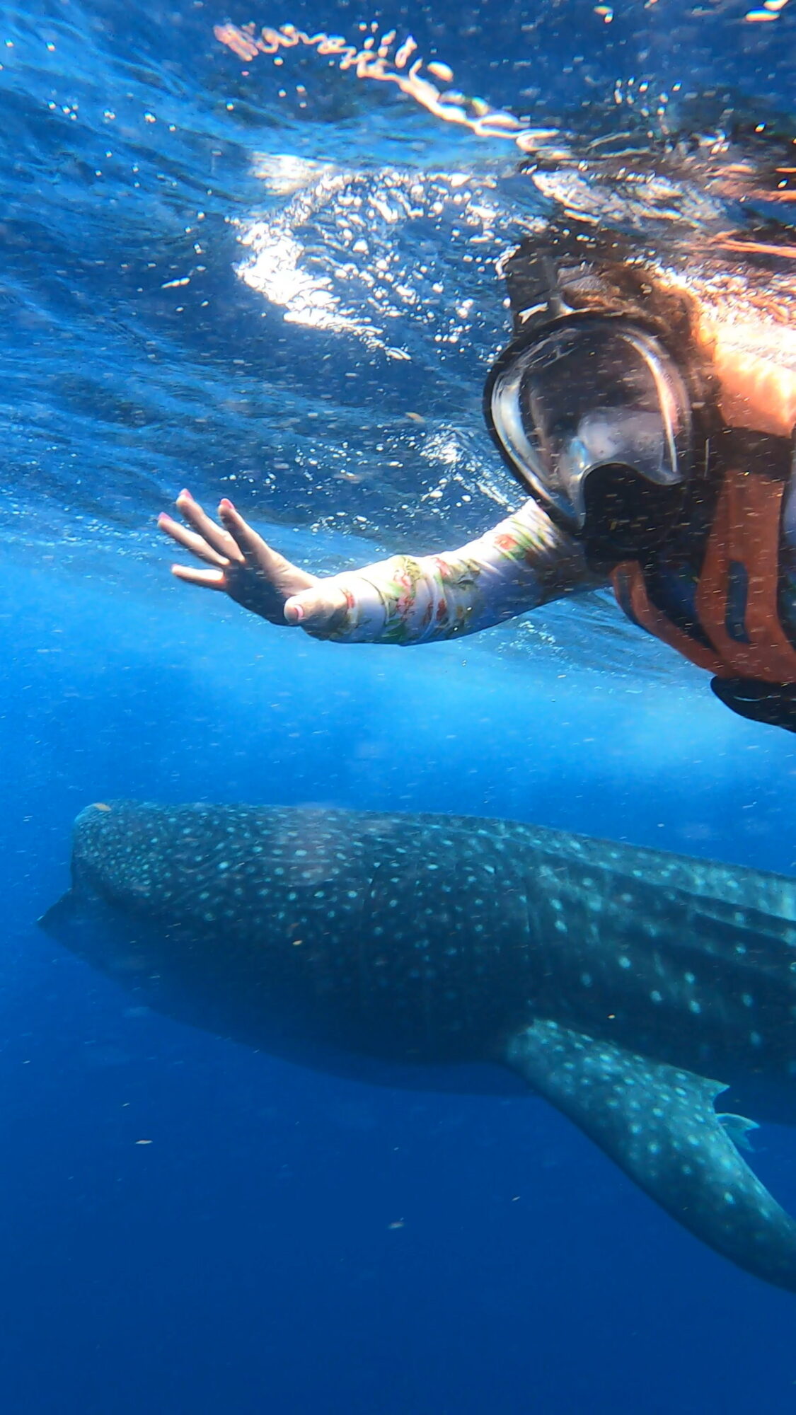 Person snorkeling underwater near a whale shark, with water and bubbles visible, and the whale shark's body partially seen.