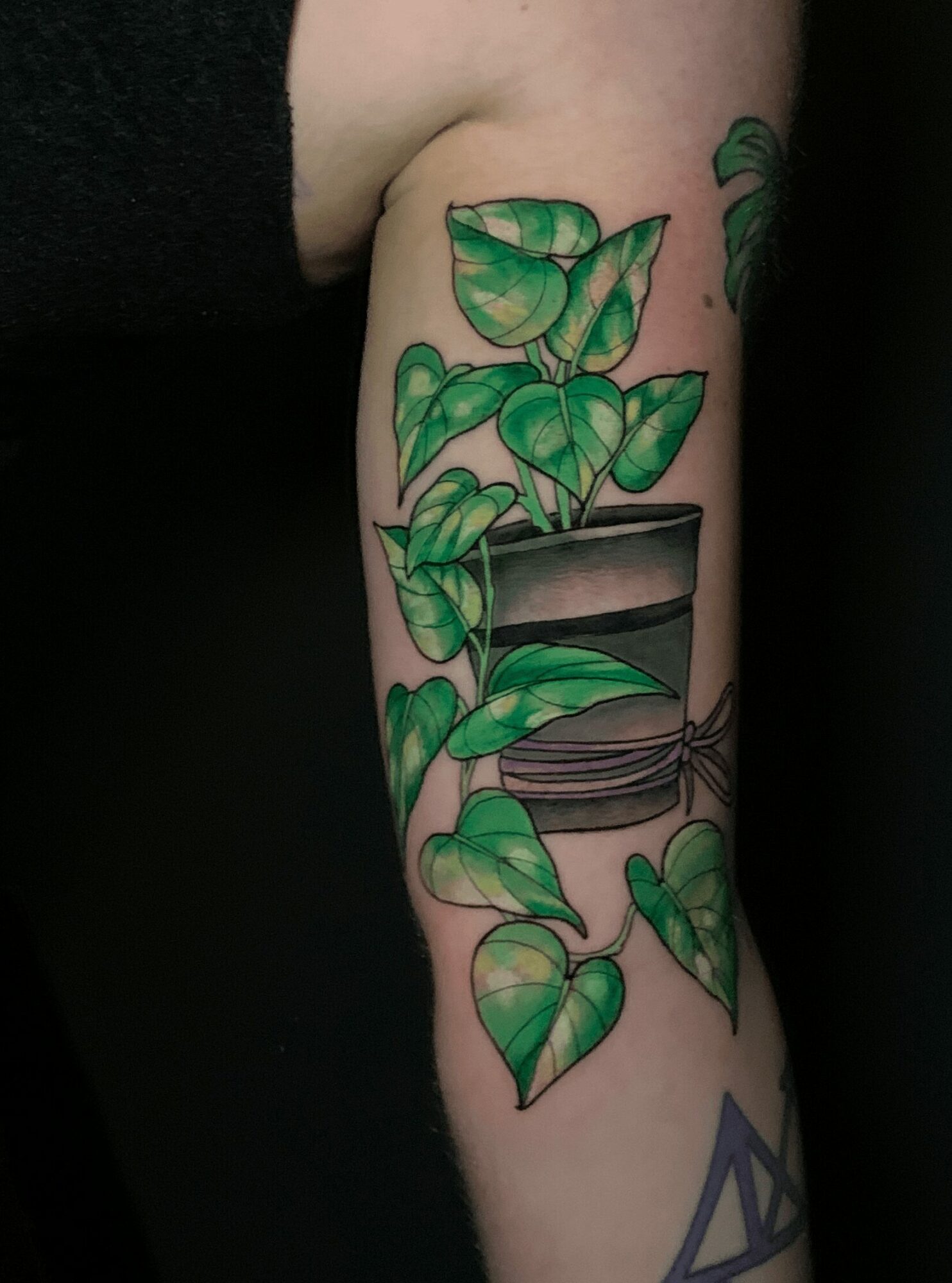 Tattoo of a potted plant with green leaves on person's arm.