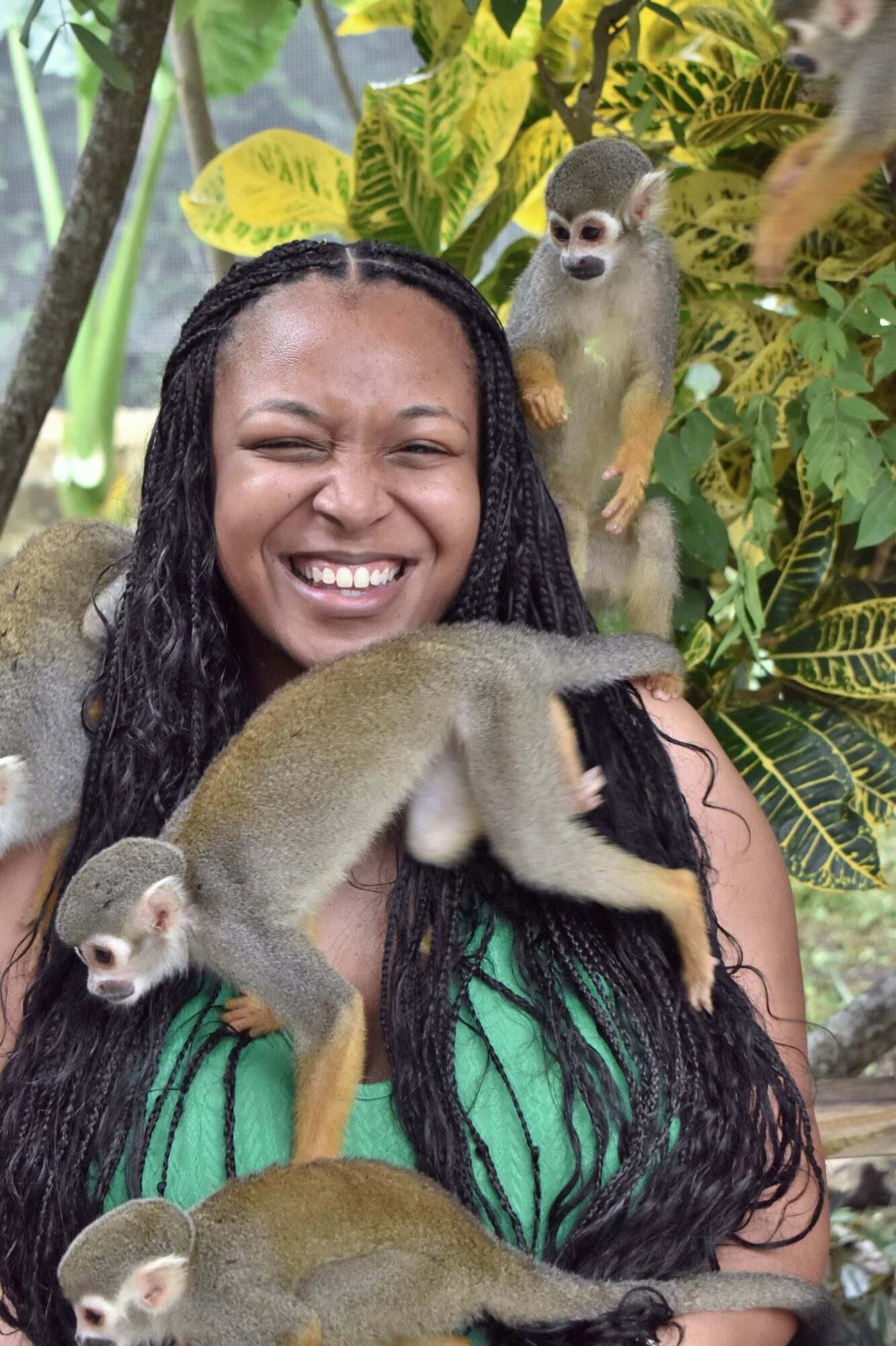 Woman smiling with three small monkeys on her and around her, surrounded by green foliage.