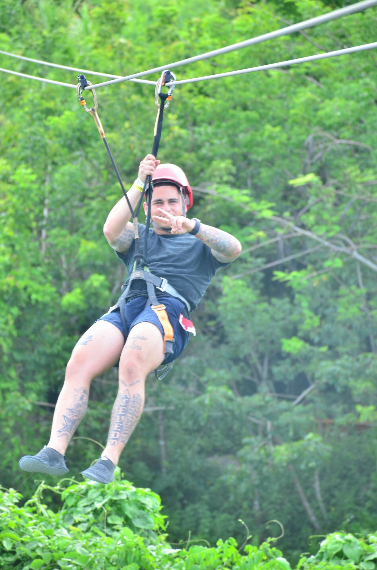 Person in harness holding onto a zip line, surrounded by green trees, outdoors, smiling, wearing a helmet and safety gear.