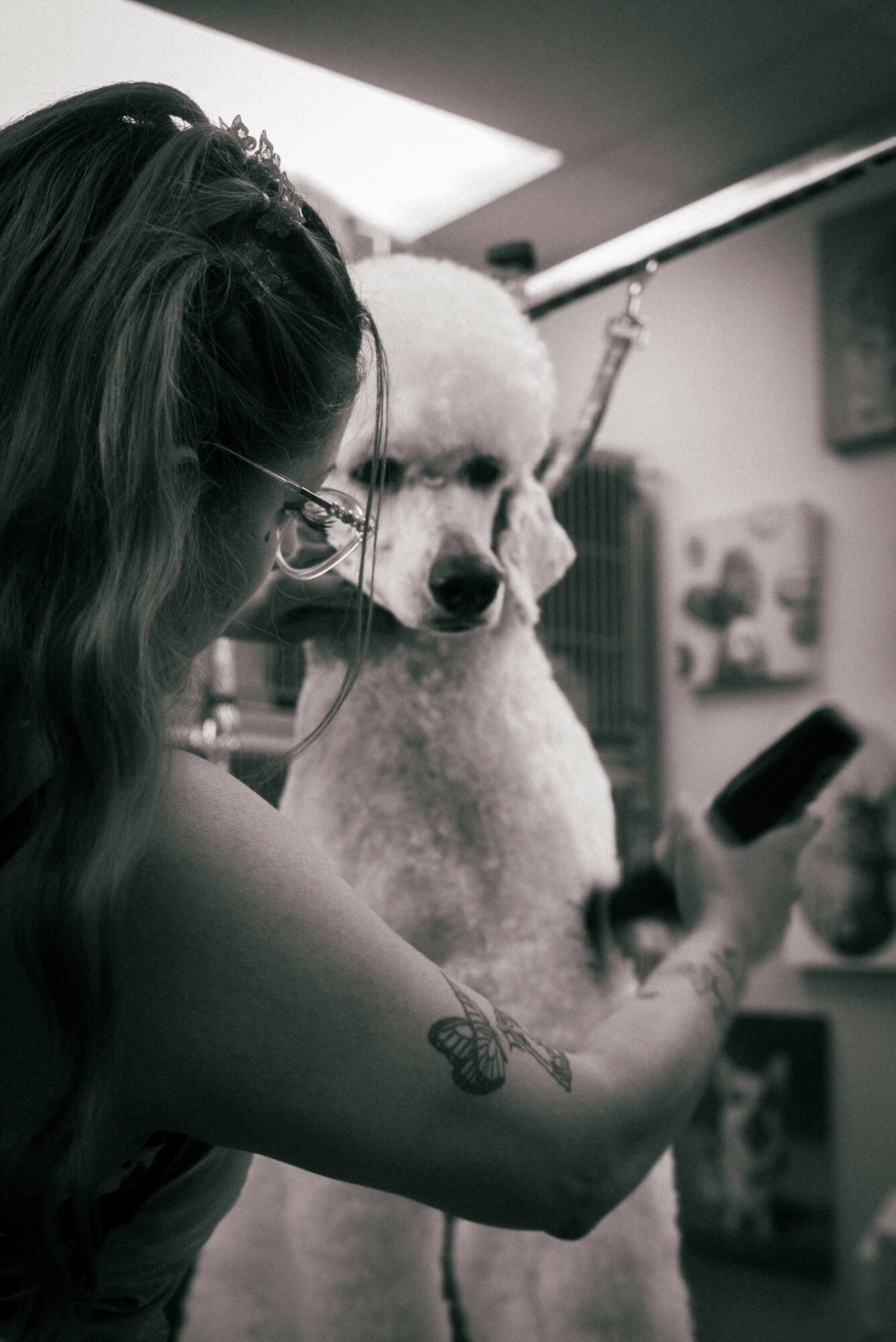 Person grooming a large, fluffy dog indoors, with a tattoo visible on their arm.