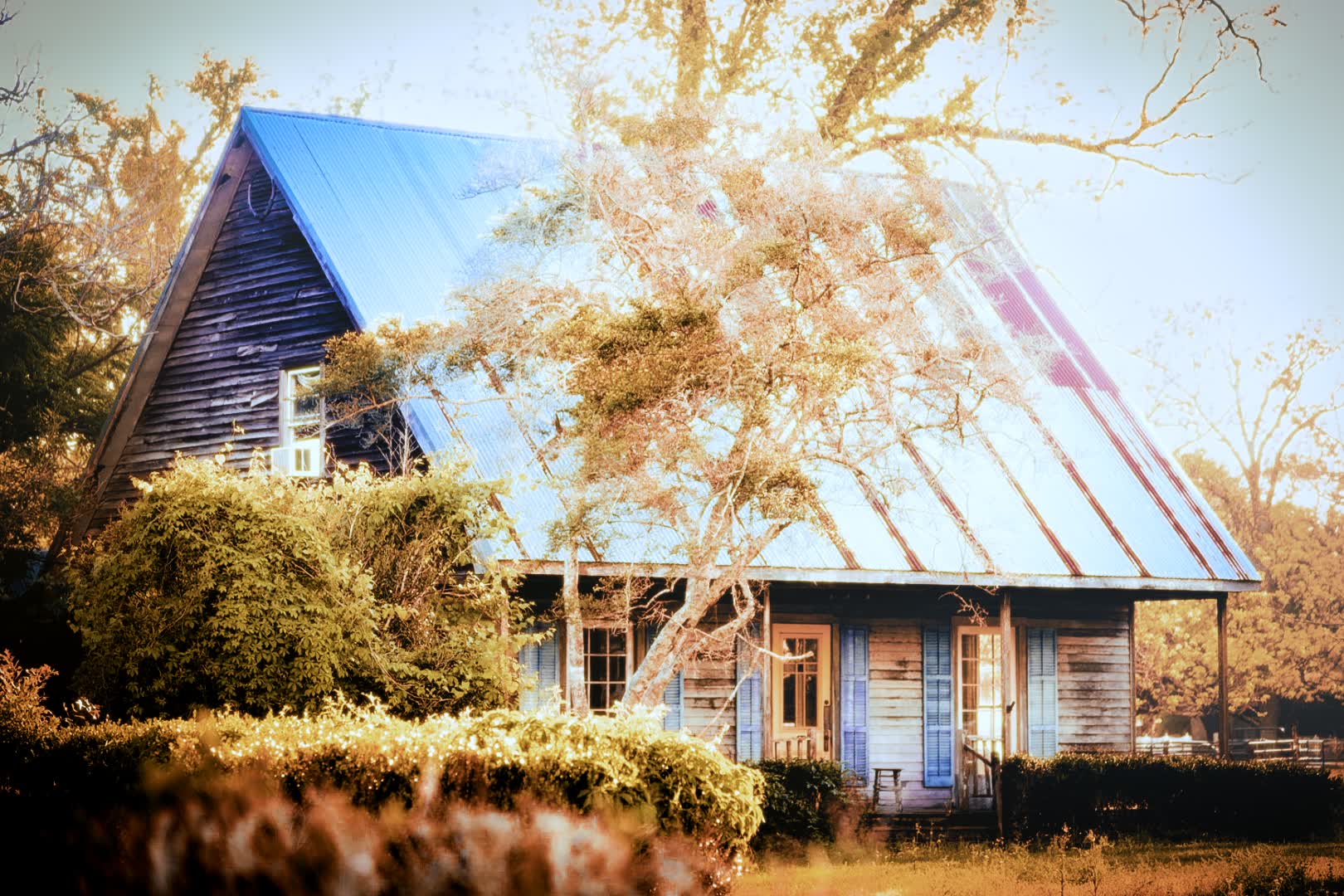 A house with a blue roof, surrounded by trees and bushes, under a clear sky.
