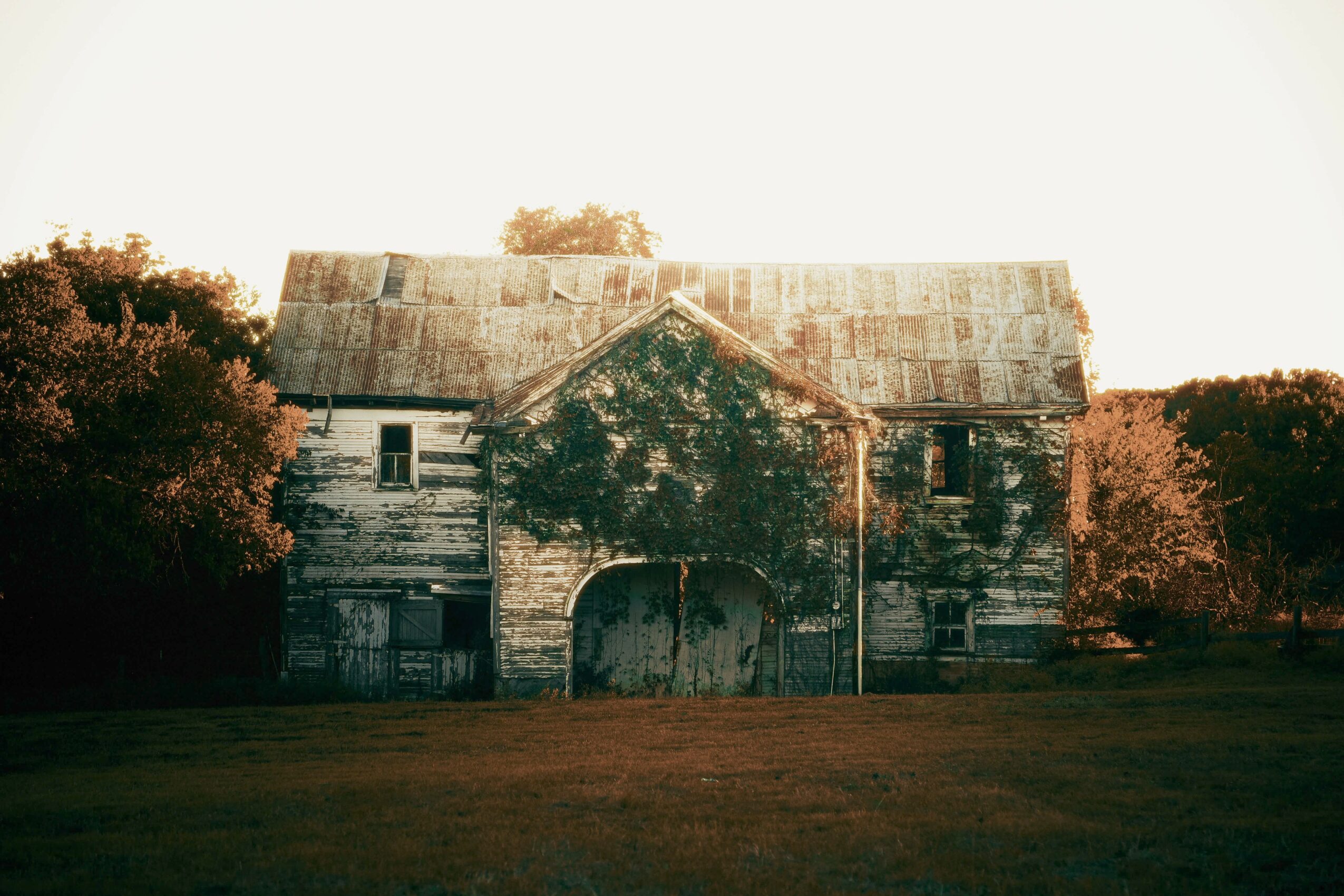 Old, weathered barn with trees on both sides, set against a bright sky, surrounded by grass.
