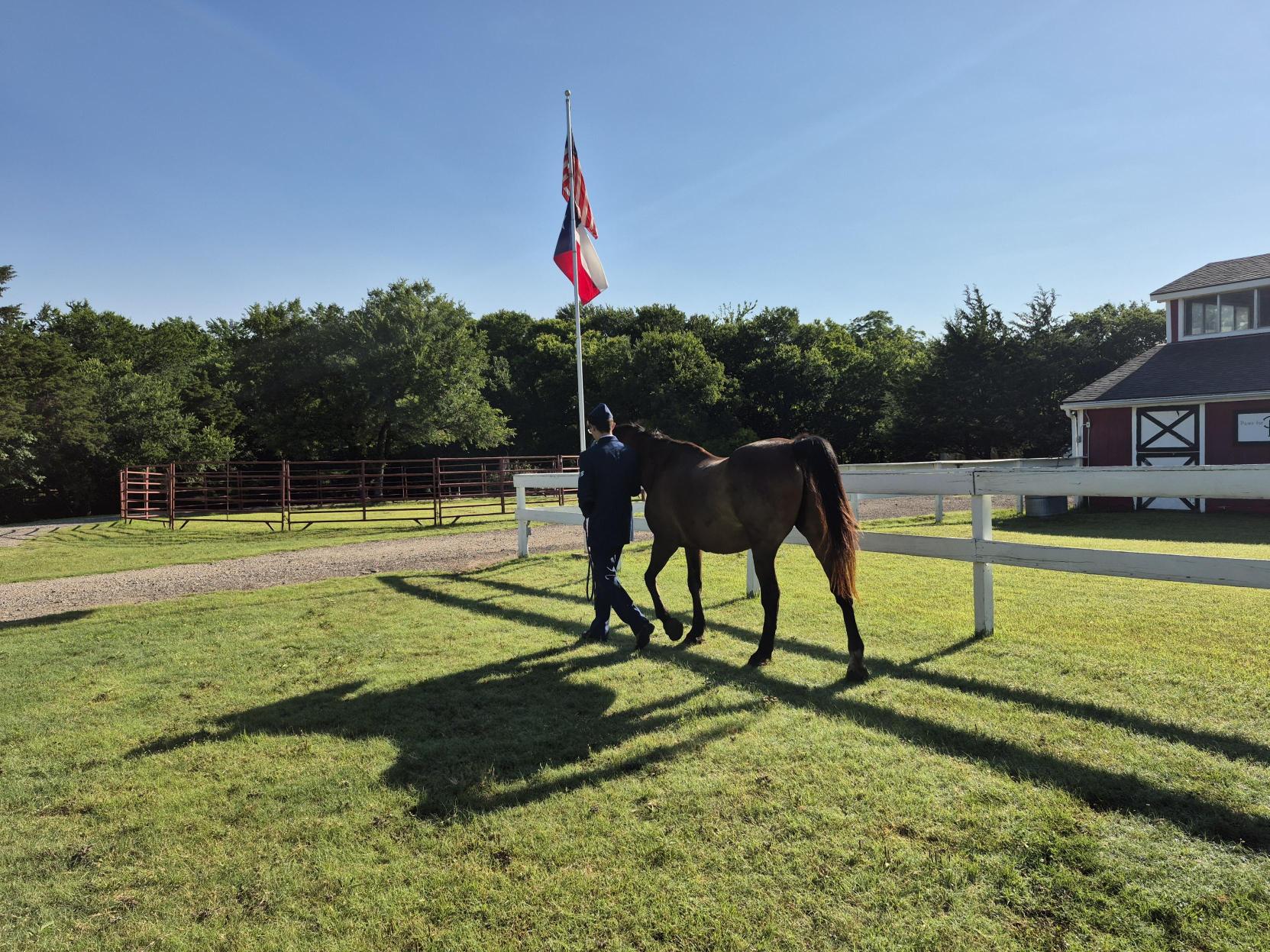 Person walking a horse near a flagpole with a flag, on a sunny day with trees and a building in the background.