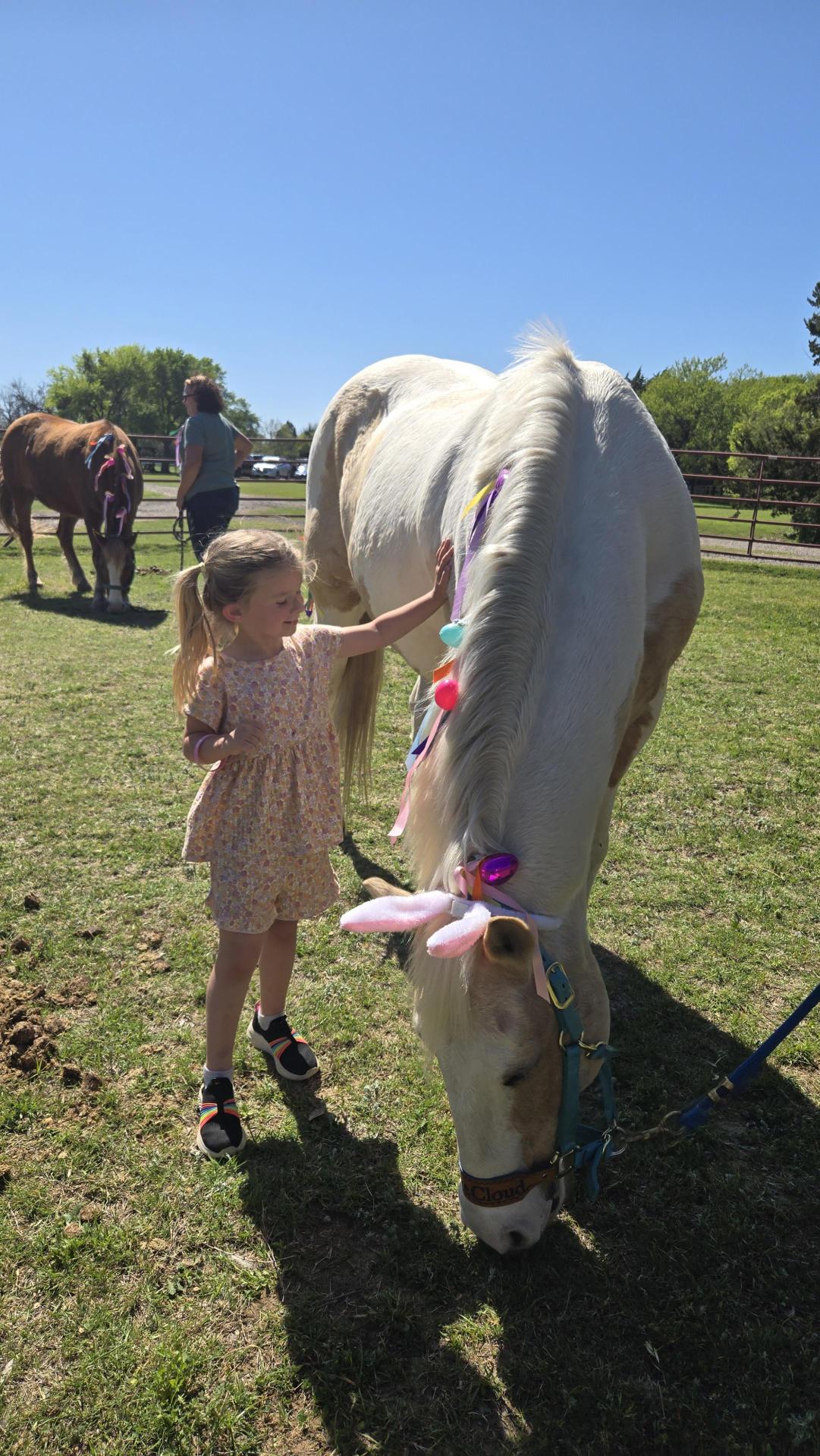 Child petting a white horse's side outdoors on a sunny day, with other horses and trees in background.