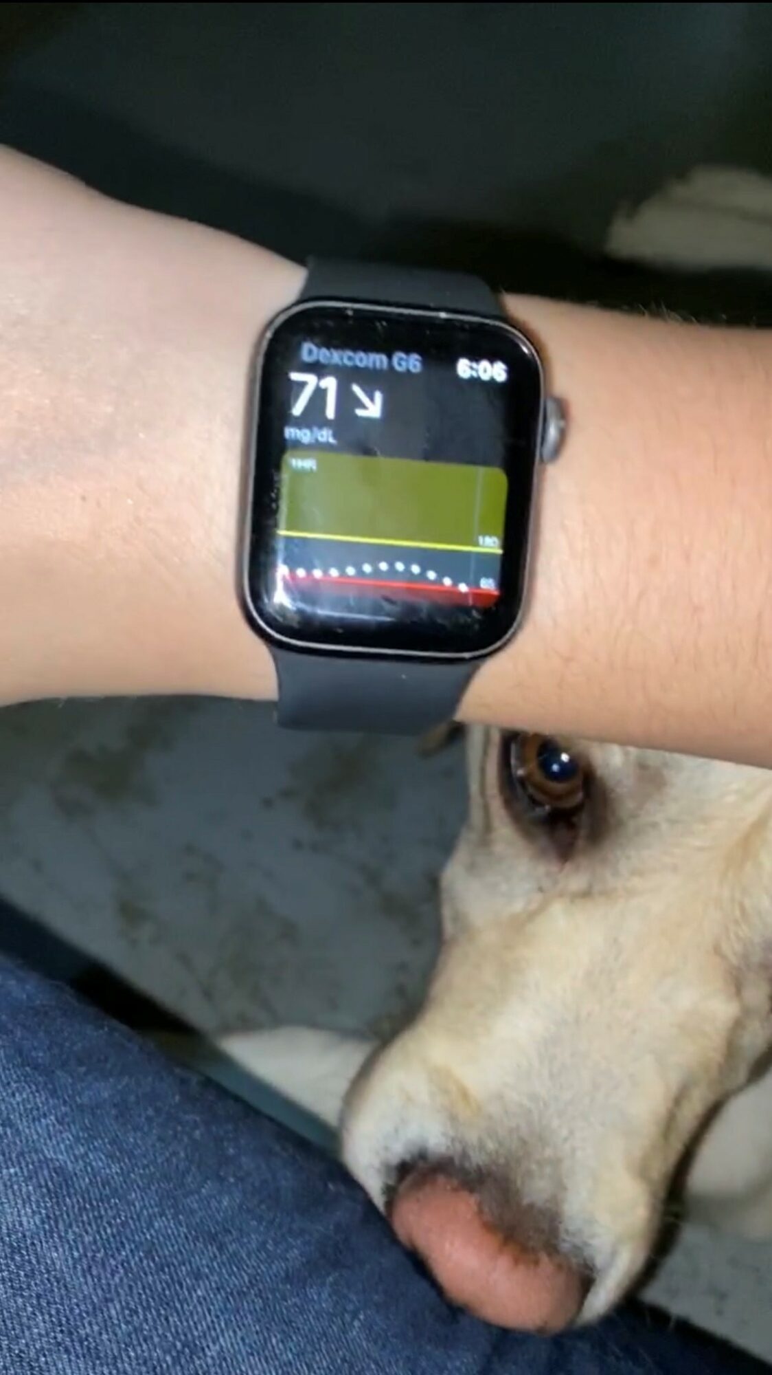 Smartwatch on person's wrist displaying heart rate and activity data, with a dog resting its head nearby.