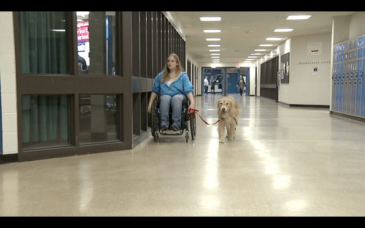 Woman in wheelchair walking a dog in school hallway with lockers and glass windows, bright lighting, and empty corridor.